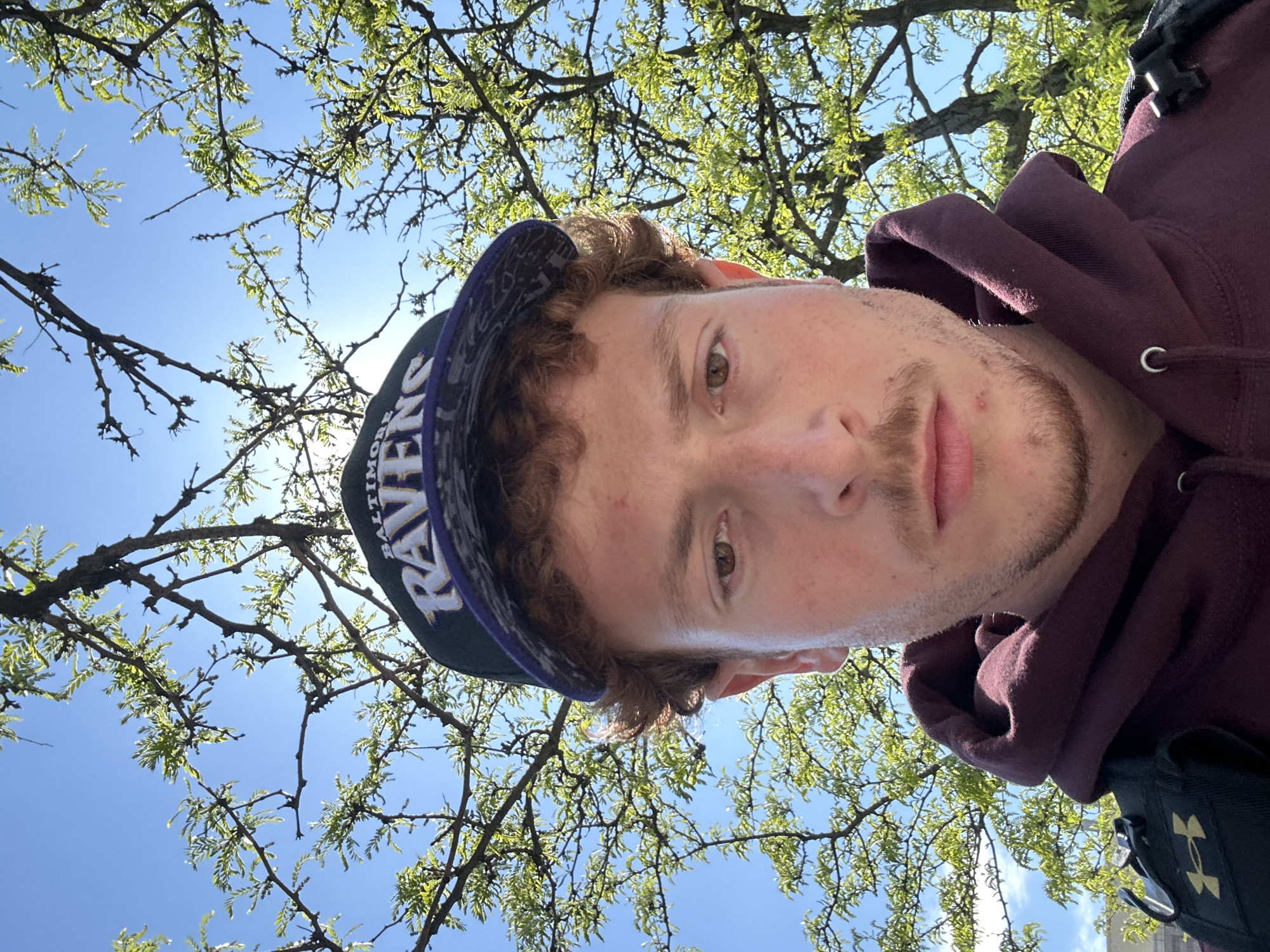 A low-angle selfie photograph shows a young man wearing a purple Baltimore Ravens baseball cap and a maroon hooded sweatshirt. Above him, tree branches with small green leaves fill the frame, and the sky is visible between the branches. The man has light skin, brown hair, and a light beard. The lighting is bright and appears to be from the sun. The exact location within New York City, United States of America cannot be determined with the details provided in the image.