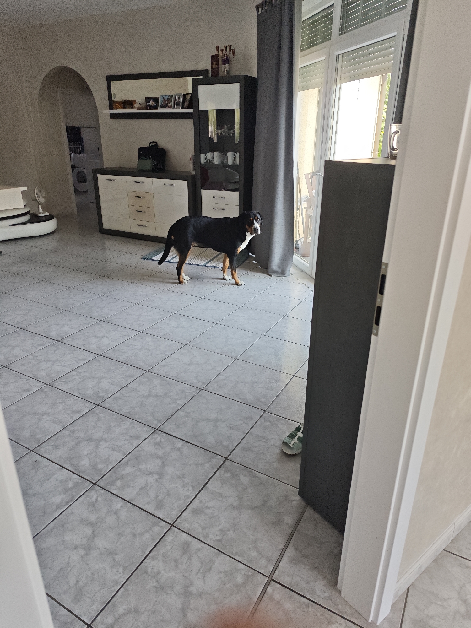 A Greater Swiss Mountain Dog stands on a tiled floor in what appears to be a living room. The dog is tri-colored, with black, white, and tan markings. It is looking towards the right side of the frame. In the background, there is a modern dresser with drawers, a large mirror above it, and a tall cabinet with glass doors displaying items. A doorway with an arched opening is visible on the left. A large window with blinds is also present. A dark grey cabinet is positioned in the foreground on the right, partially obscuring the view. The room is well-lit, with natural light coming from the window. The location is identified as Barntrup, Germany.