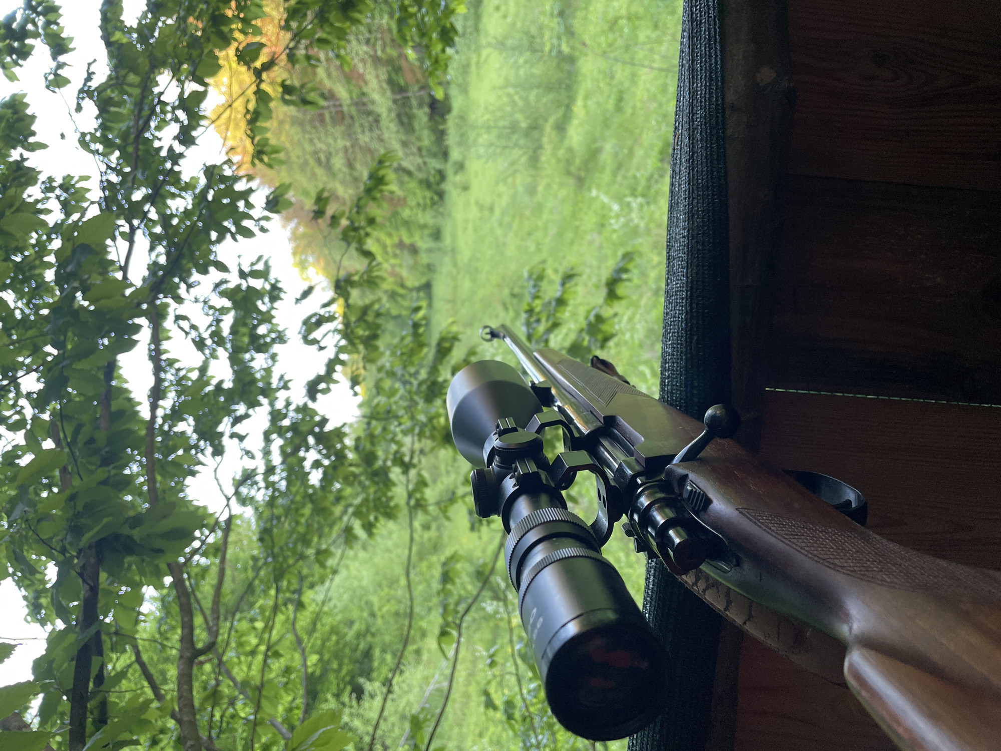 The image shows a rifle with a scope, likely positioned inside a hunting blind or similar structure, looking out into a green, wooded area. The location is not discernible based on the provided image.