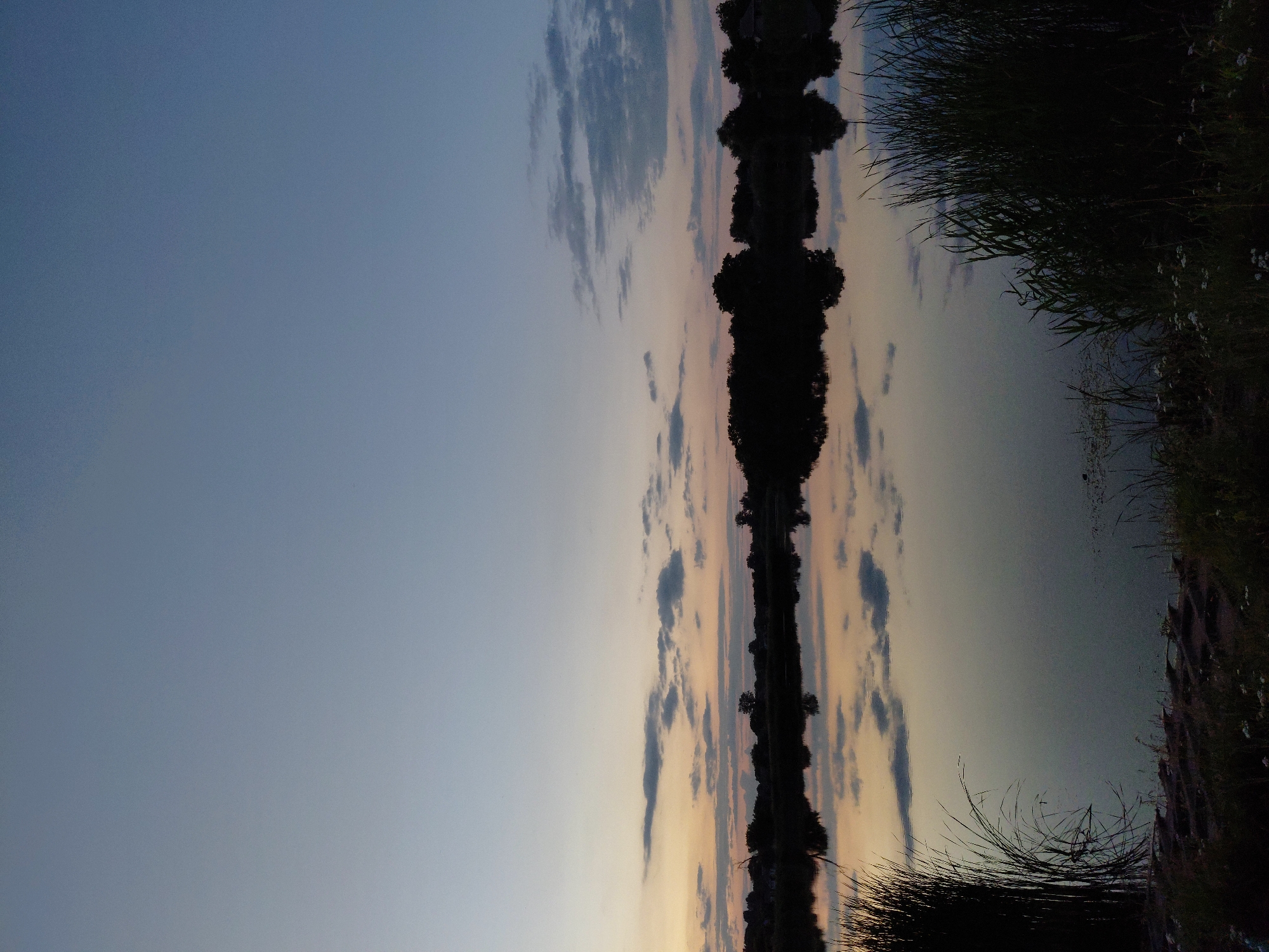 The image depicts a serene natural landscape at dusk, likely in or near Ustyvytsia, Ukraine. The sky is a gradient of pale blue at the top, transitioning to softer hues of peach and lavender near the horizon, with scattered, wispy clouds. A dark silhouette of trees and vegetation forms the background, bordering a calm body of water that reflects the sky and the treeline. The foreground features tall, dark reeds and grasses on the left and right sides of the frame, bordering a dark, earthy bank. The water's surface is smooth, creating a mirror-like reflection of the sky and the distant landscape. No people or animals are visible in the scene. The overall atmosphere is tranquil and contemplative, characteristic of the twilight hour in a rural or natural setting.