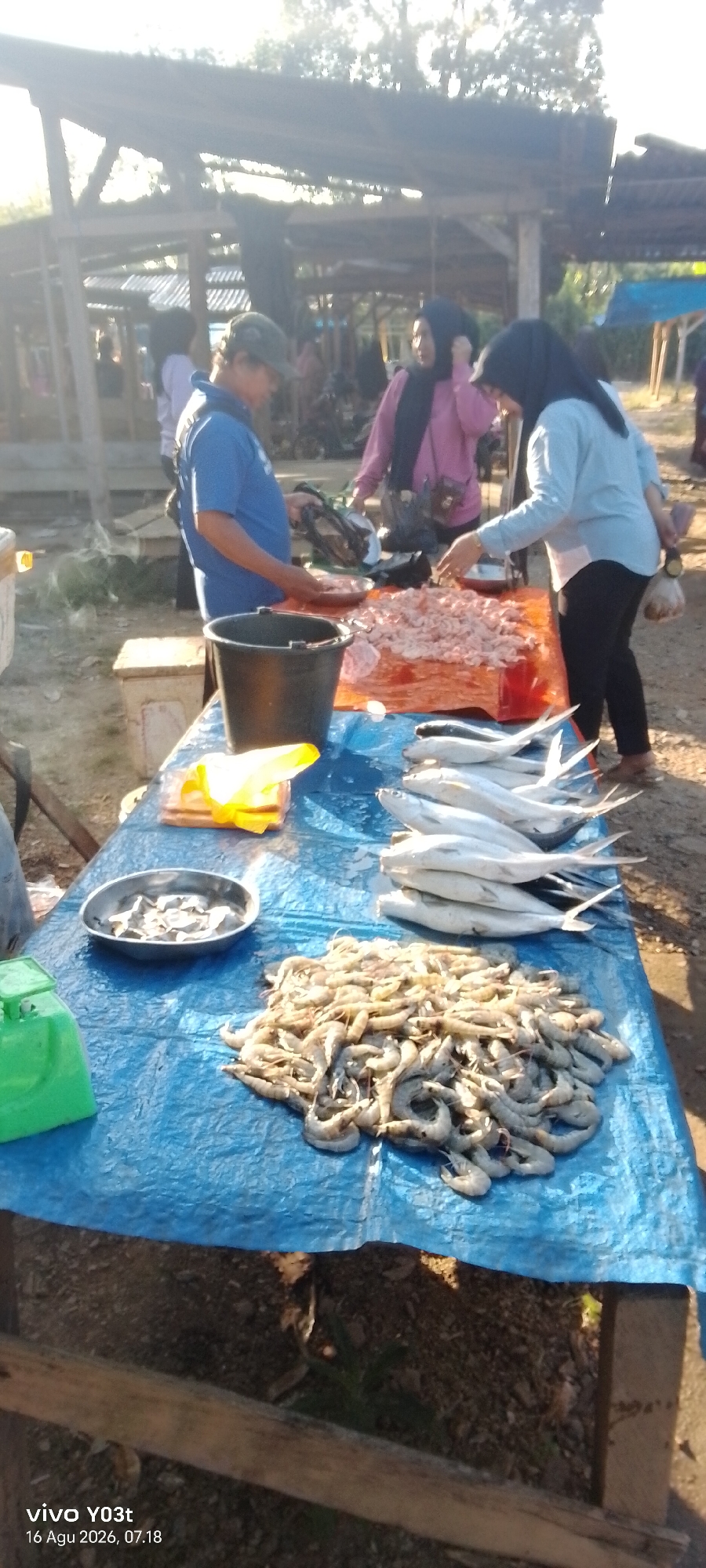 In Palosilae, Indonesia, a fish market scene unfolds under a rustic wooden shelter. The foreground features a blue tarp spread over a table, displaying a bounty of fresh seafood. A large pile of shrimp occupies the right side of the tarp, while a row of silvery fish lies neatly arranged to the left of the shrimp. To the left of the fish, a small metal bowl holds a portion of chopped fish. A green weighing scale is positioned at the far left of the table, and a black bucket sits near the center. In the background, individuals are engaged in the market activities. A man in a blue shirt and a cap is seen tending to fish on a table. Two women in hijabs, one in a pink shirt and the other in a light blue shirt, are also present, seemingly interacting with the vendor or examining the produce. The environment suggests an outdoor market setting with sunlight filtering through the structure.