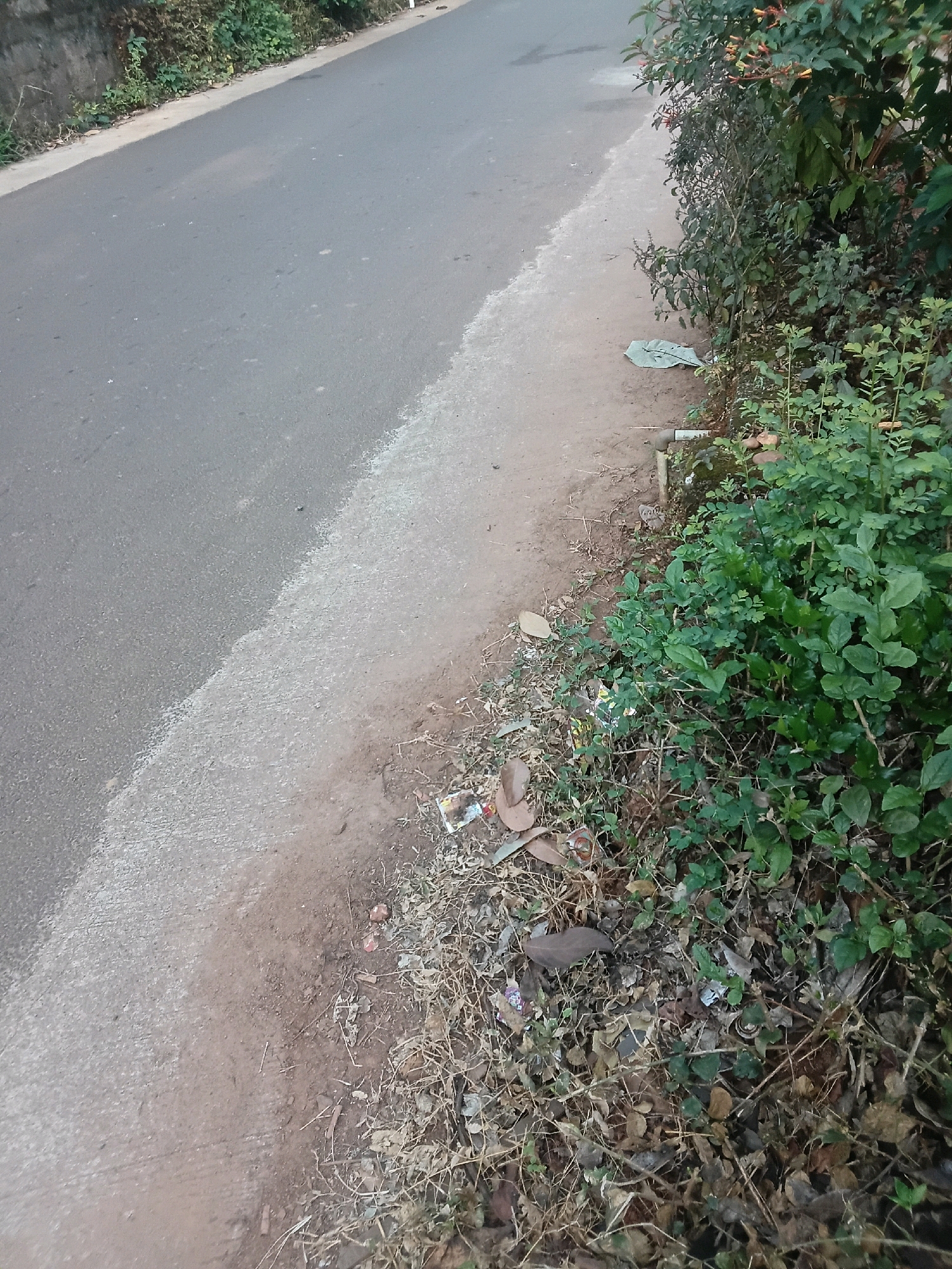 The image depicts a roadside scene in Chalissery, India. A paved asphalt road runs diagonally across the frame, bordered by a dirt shoulder. Vegetation, including green leafy plants and dry grass, lines the shoulder. Some debris, such as plastic wrappers and dry leaves, is scattered on the ground. A white pipe is partially visible near the edge of the vegetation. The overall impression is one of a natural environment adjacent to a public thoroughfare, with evidence of litter.