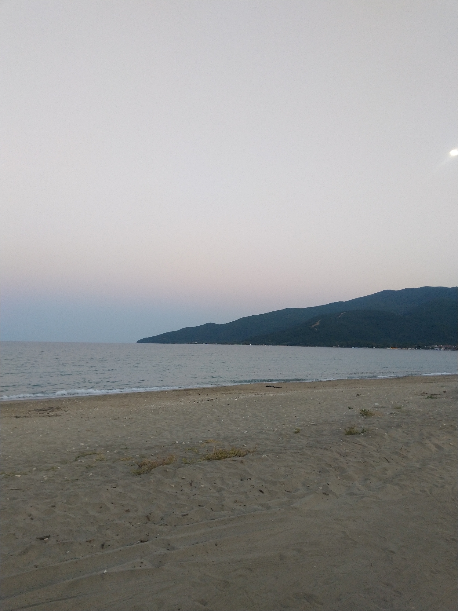 The image depicts a beach scene in Nea Vrasna, Greece, likely during twilight or dawn given the soft lighting. The foreground is dominated by sand, with subtle textures and some scattered debris like small shells and dried vegetation. A gentle wave line marks the transition to the sea, which occupies the midground. The water appears calm with small ripples. In the background, a dark, tree-covered mountain range extends along the coastline, with faint lights suggesting a settlement nestled at its base. The sky is a gradient of pale colors, transitioning from a light pastel pink or purple near the horizon to a muted gray or white higher up. There are no people or specific structures clearly visible in the frame.