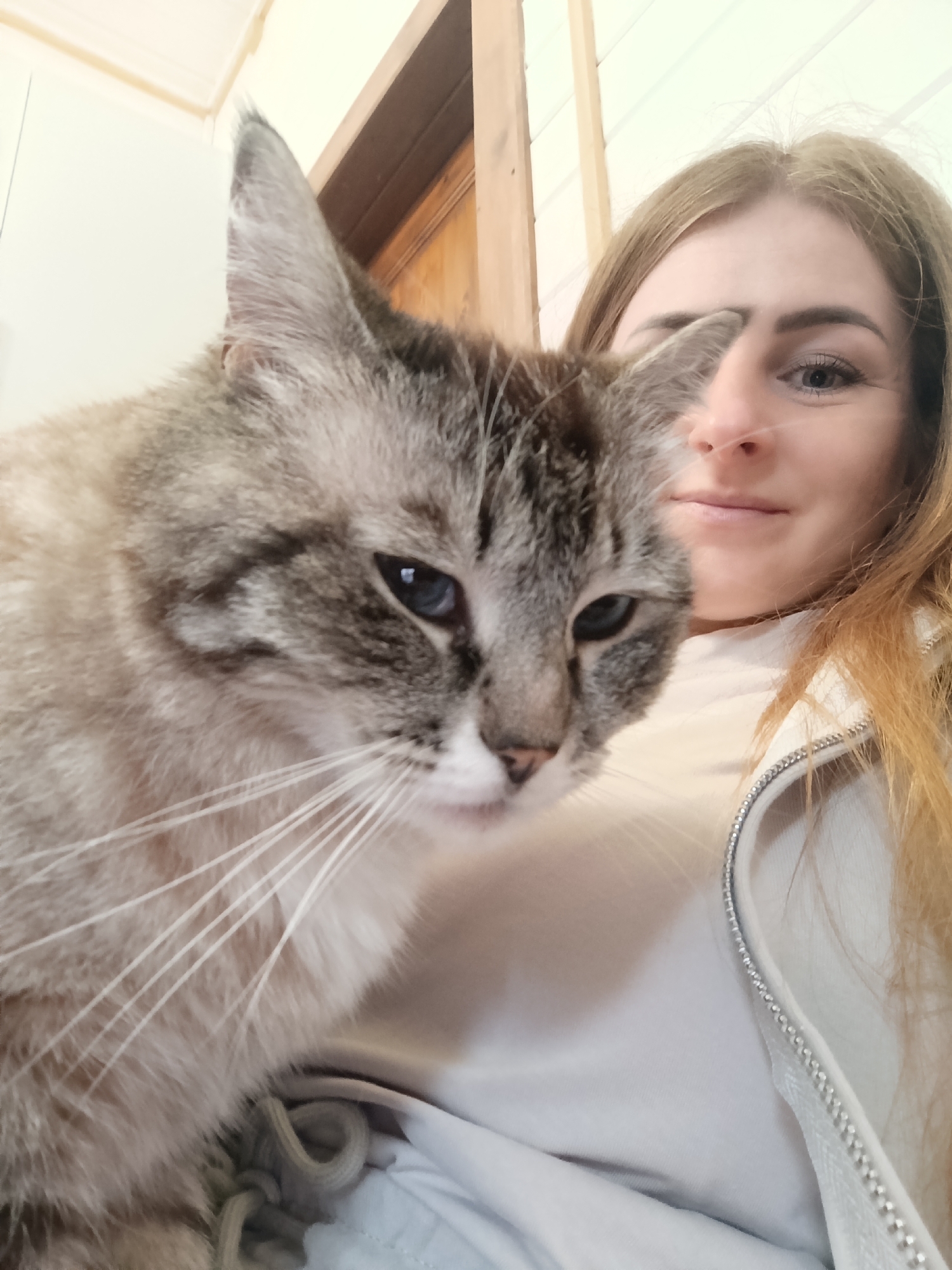 A woman with long, light brown hair is holding a gray and white cat in her arms. The woman is wearing a white shirt with a zipper jacket. The cat is looking down with its blue eyes, and has long white whiskers. The background is blurry, but it appears to be an indoor setting with a wooden frame or wall. The location is Unknown, Unknown.