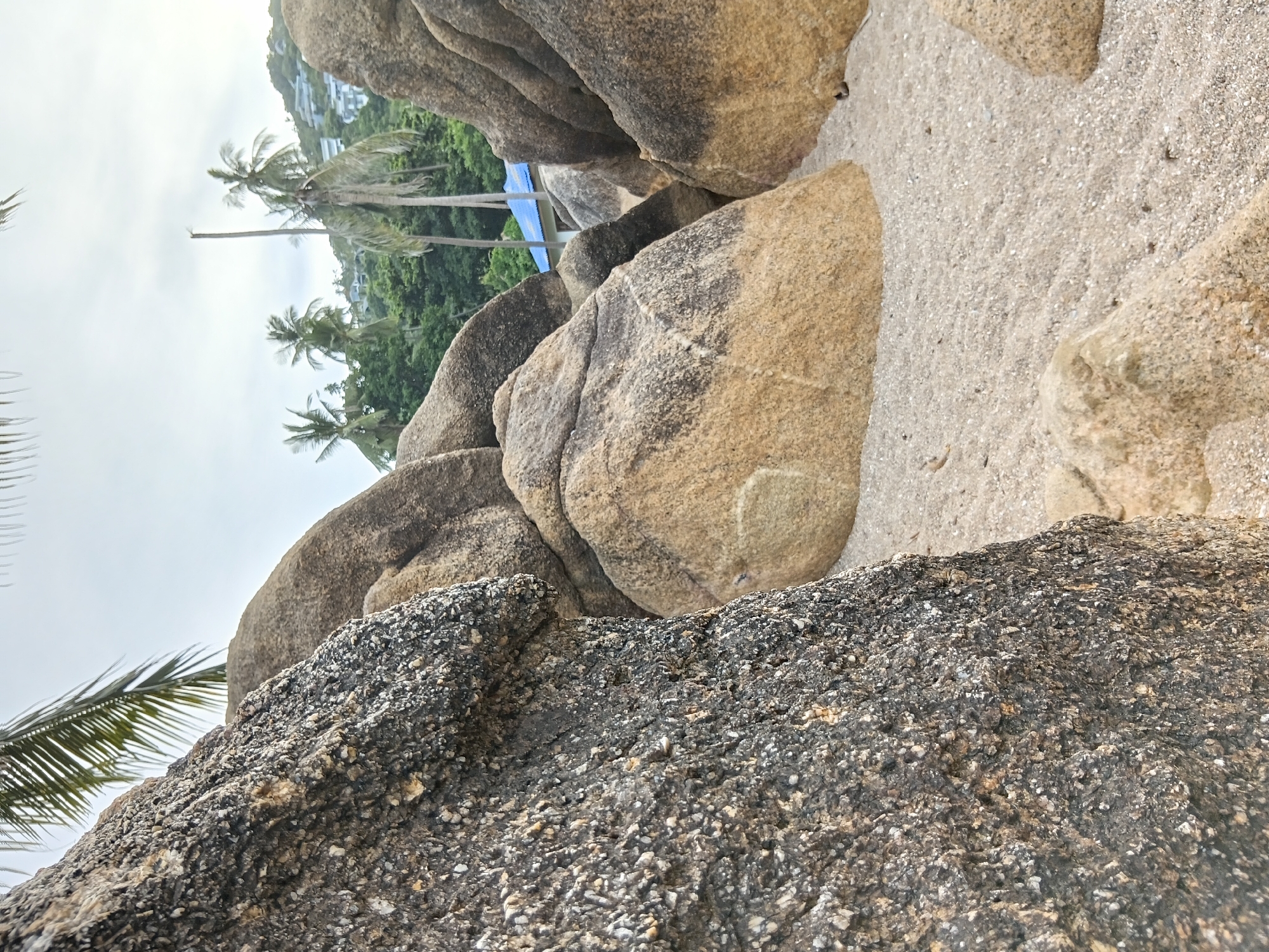 The image captures a scenic view of a beach on Koh Samui, Thailand. The foreground is dominated by large, textured boulders, with a rough, dark gray rock on the left and smoother, sandy-colored rocks filling the center and right. The beach itself is covered in fine, light-colored sand with small pebbles. In the background, a cluster of palm trees stands against a hazy sky. Further back, lush green hills are dotted with buildings, and a structure with a bright blue roof is visible. The overall atmosphere is that of a tropical coastal landscape.