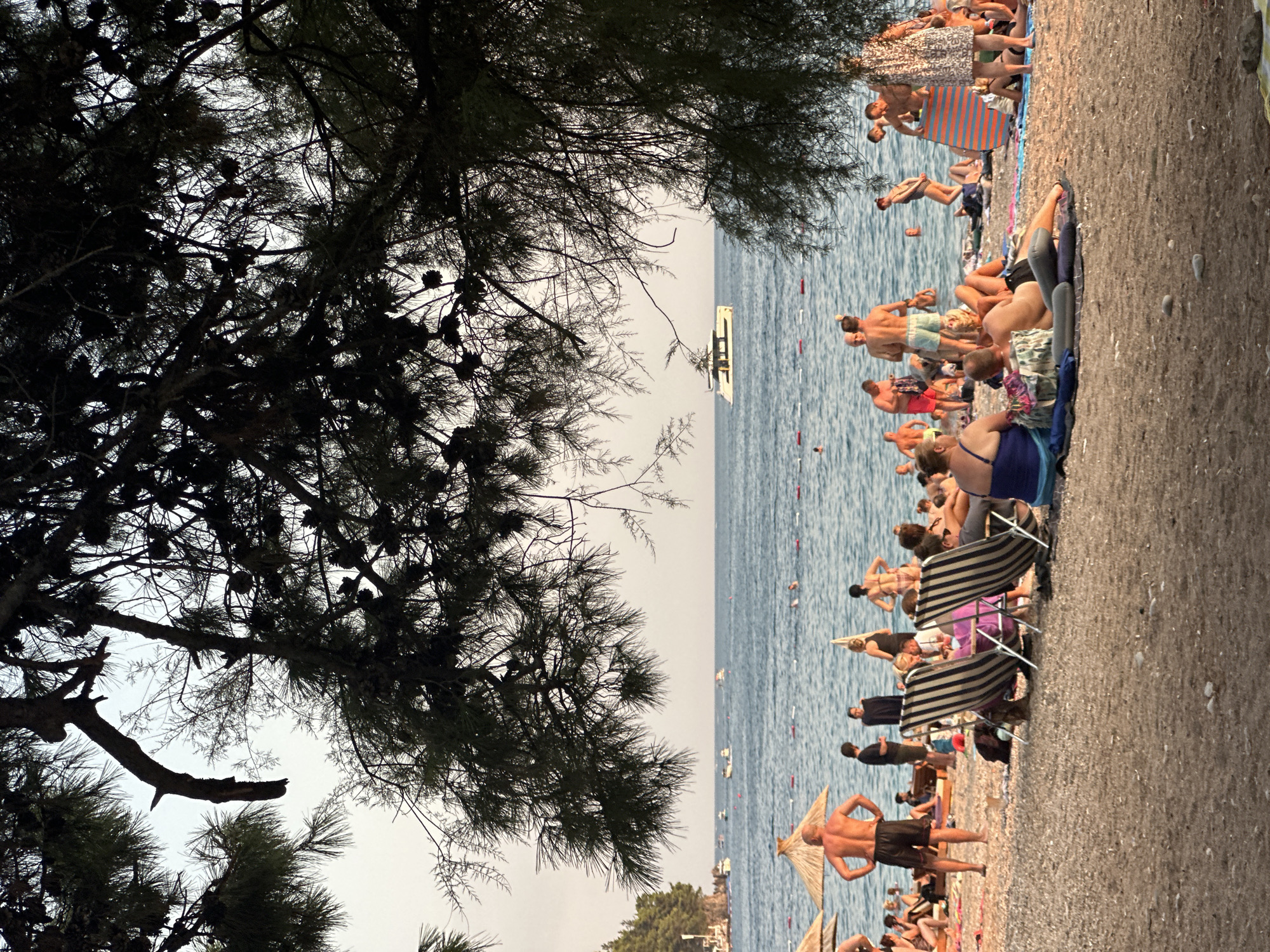 This image depicts a beach scene in Budva, Montenegro, likely during the late afternoon or early evening, given the soft lighting and shadows. In the foreground, a sandy and pebbly beach is populated by numerous individuals, some relaxing on towels and chairs, others standing or walking. The beach is partially shaded by the branches of a large pine tree, which obscures the top portion of the frame.
In the middle ground, the calm, blue sea stretches towards the horizon, dotted with several boats. A larger, white yacht is visible in the distance. A marked swimming area is delineated by buoys. People are seen swimming and wading in the water.
The background features a coastline with a line of trees and vegetation, suggesting the presence of a natural landscape. The sky is a pale, hazy blue, indicating a clear but possibly humid day. The overall atmosphere is one of leisure and recreation, with people enjoying a typical beach day.