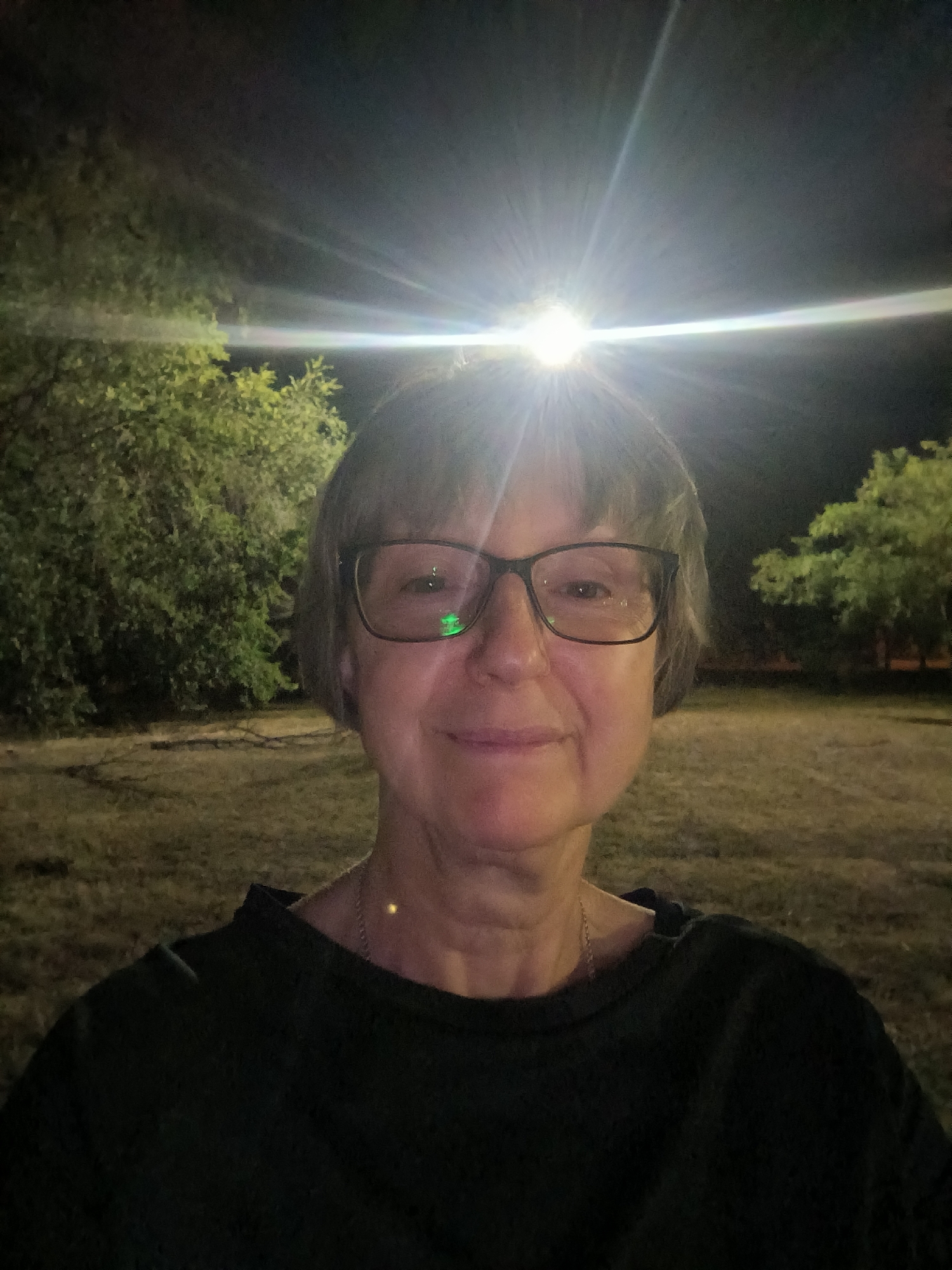 A woman wearing glasses and a black shirt stands outside at night. A bright light source, possibly a streetlamp or headlamp, is positioned directly above and behind her, creating a lens flare effect that illuminates the scene and casts strong light on her face. She is looking directly at the camera with a slight smile. The background shows trees and a grassy area, suggesting a park or outdoor public space within the city of Mykolaiv, Ukraine.