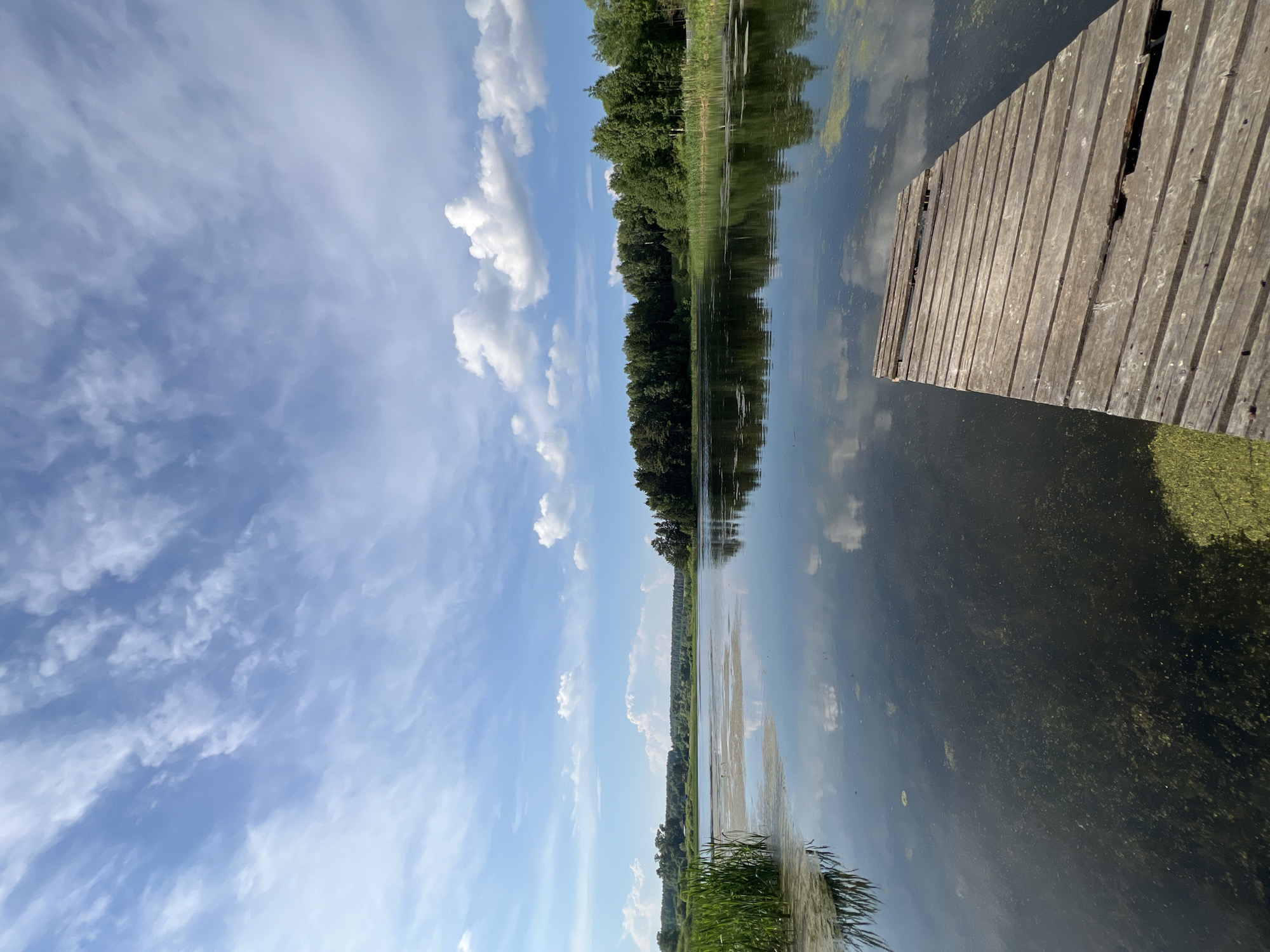 This is a landscape photograph of a tranquil lake on a partly cloudy day, likely taken in the city of Al'nyash, Russia, given the context. In the foreground, a weathered wooden pier extends into the dark water, which is partially covered with patches of green algae. The lake's surface reflects the sky and the lush green trees that line the distant shore. Tall reeds grow on the left side of the frame, adding to the natural beauty of the scene. The sky is a vibrant blue, dotted with fluffy white clouds that are also reflected in the still water. The overall impression is one of peaceful seclusion and natural beauty.
