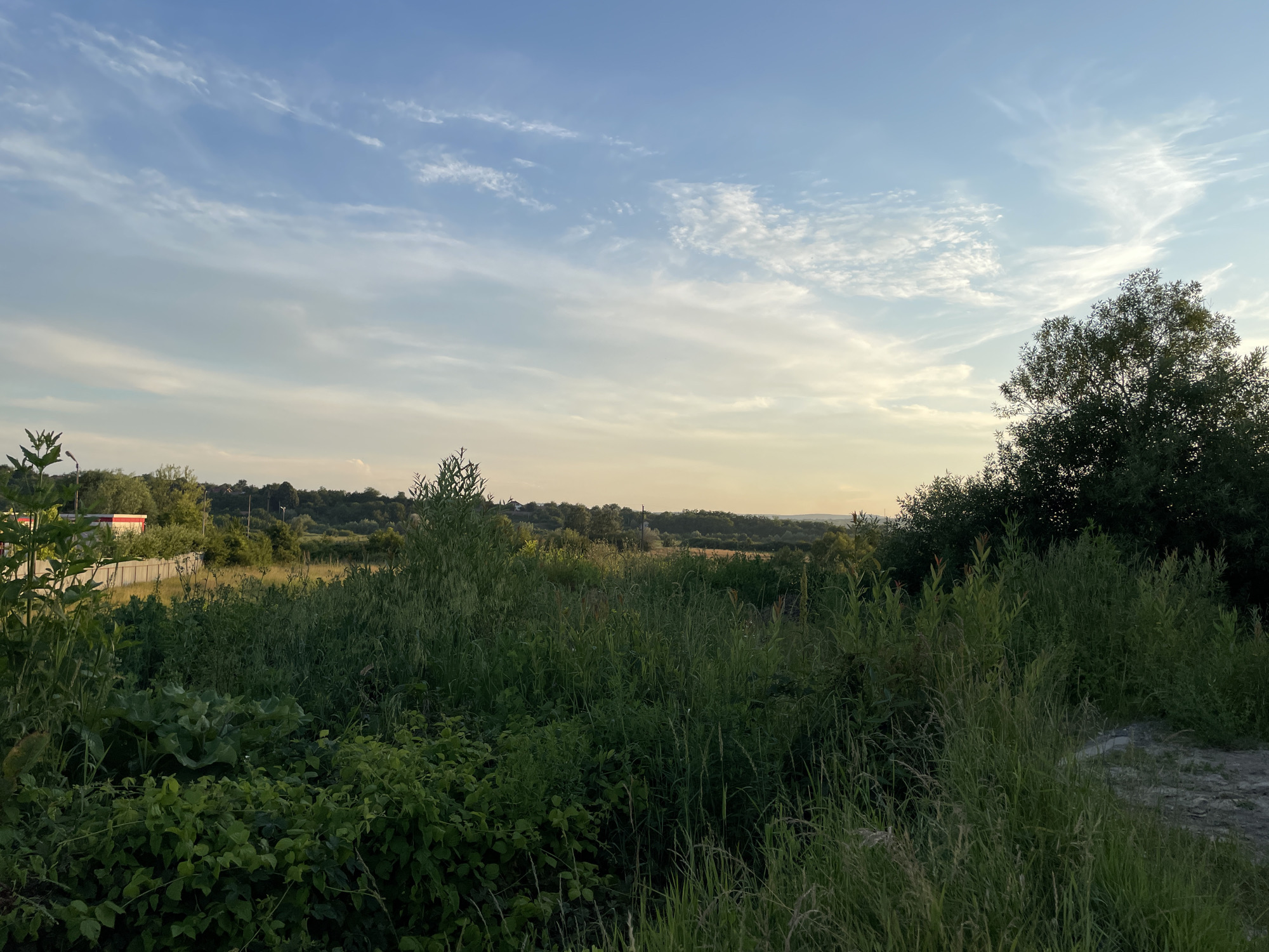 The image depicts a rural landscape at dusk in Bârnova, Romania. The foreground is filled with lush, green vegetation, including tall grasses and dense bushes. A winding path or dirt track is visible to the right, disappearing into the undergrowth. In the middle ground, more trees and shrubs are scattered across rolling hills. A low fence and a building with a red roof can be seen on the left side of the frame, suggesting the edge of a settlement or agricultural area. The background features a distant, tree-covered ridge under a wide, open sky. The sky itself is a canvas of soft blues and yellows, with wispy clouds streaked across it, indicating the transition from day to night. The overall mood is peaceful and serene, bathed in the warm, gentle light of the setting sun. No people or specific activities are apparent, making it a landscape study focused on nature and the tranquil atmosphere of the late evening.