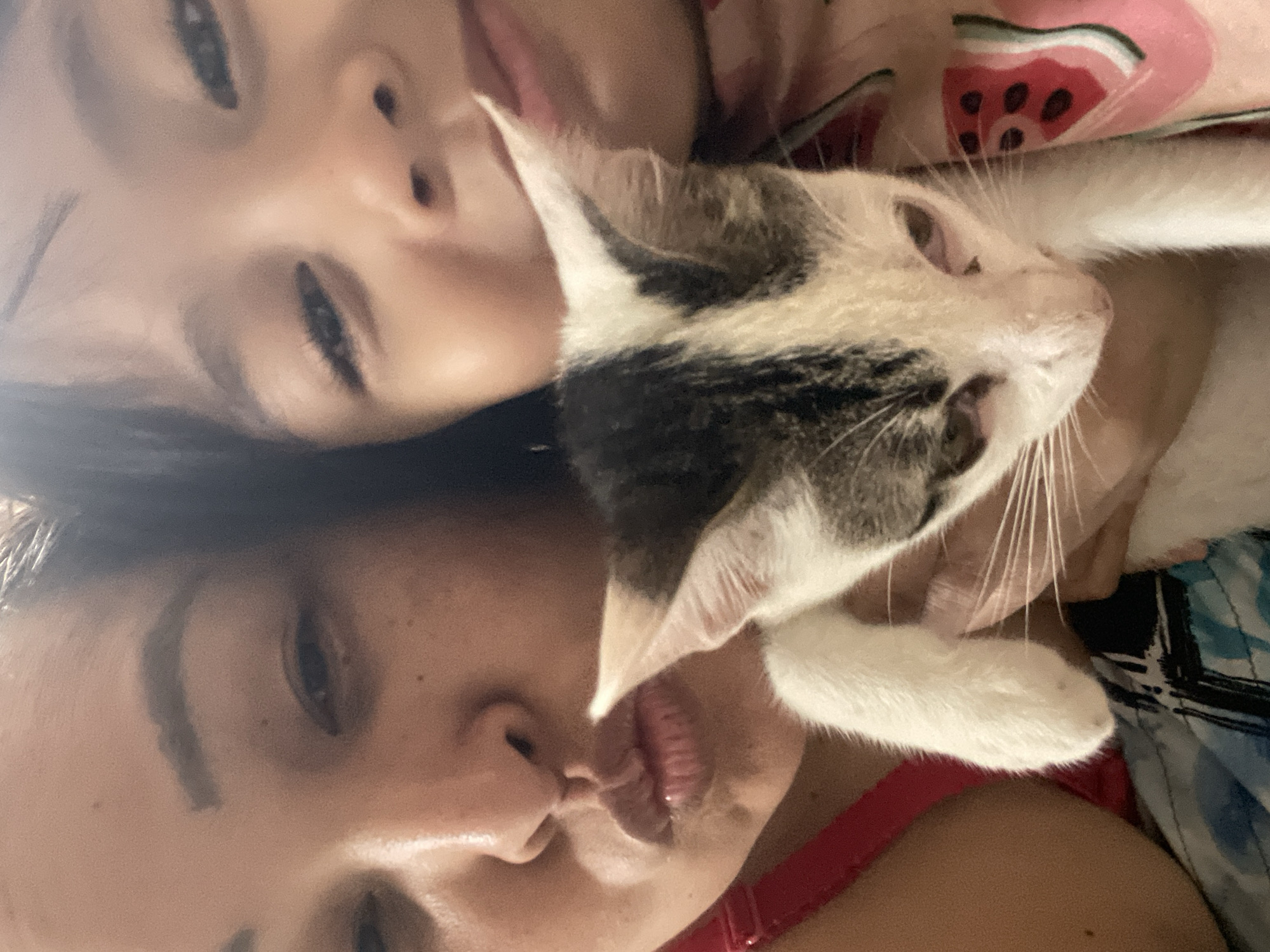 This is a close-up, low-angle selfie taken by two people with a cat. The scene is indoors, likely a bedroom, with patterned fabric visible in the background, one piece featuring a watermelon design. One person, whose face is mostly visible and in focus, has their eyes closed and their mouth open as if kissing the cat. Their lips are plump and painted pink. The second person, whose face is also close to the camera but slightly out of focus, is positioned above and to the left of the first person. They have their eyes open and are looking towards the camera. The cat, predominantly white with black and grey markings on its head and back, is positioned between the two individuals, its head resting on the first person's face, and its front paws are also visible. The cat's eyes are open, and its gaze is directed towards the viewer. The lighting suggests it is daytime, and the overall mood appears affectionate and playful. There is no visible text in the image. The location context is Davao City, Philippines.