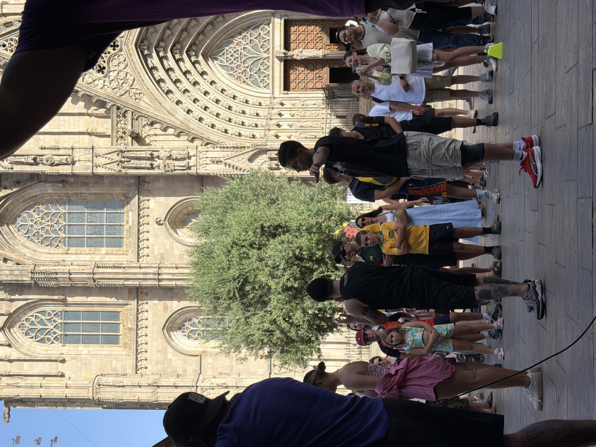 The image captures a street scene in front of Barcelona Cathedral, a Gothic cathedral located in the Barri Gòtic, the old city center of Barcelona, Spain. A crowd of people is gathered, appearing to be observing or participating in an event. In the foreground, several individuals are prominently featured. To the left, a person wearing a black baseball cap and a purple shirt is partially visible, with their arm raised. Next to them, a woman in a pink dress stands facing away from the camera. In the center of the frame, a young boy in a yellow shirt and shorts is looking towards the right. A man in a black tank top and shorts is in the middle ground, gesturing to his right. More people are spread across the scene, some holding cell phones. Behind the crowd, the imposing facade of Barcelona Cathedral rises, characterized by its intricate Gothic architecture, including large stained-glass windows and detailed carvings. A large, leafy green tree stands between the crowd and the cathedral entrance. The ground is paved with cobblestones. The lighting suggests it is daytime, with sunlight casting shadows.