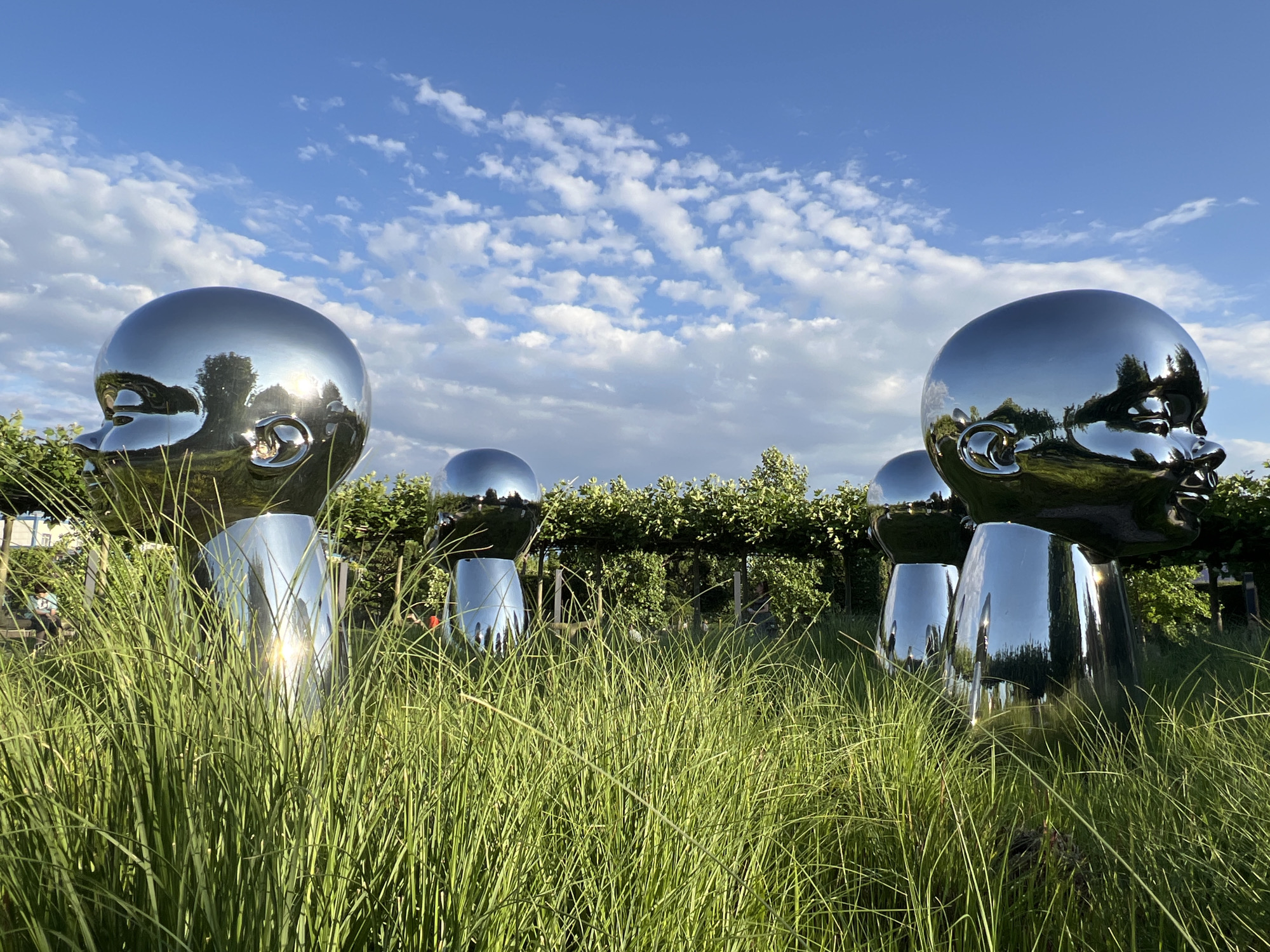 This image captures a view of the "Angel" sculpture by the artist Romas Baus from a low angle, set within a grassy area. The sculpture, composed of highly polished chrome, reflects the surrounding environment, including a blue sky dotted with white clouds, trees, and other elements of the park. In the foreground, tall green grass partially obscures the bases of several individual "Angel" sculptures, creating a sense of depth and scale. Behind the sculptures, a line of trees with dense foliage forms a backdrop, with glimpses of what appears to be park infrastructure and possibly people in the distance. The lighting suggests it is daytime, likely late afternoon, given the quality of light and the shadows cast. The location is identified as the Park of Culture and Leisure (also known as Sunny Island Park) in Krasnodar, Russia.