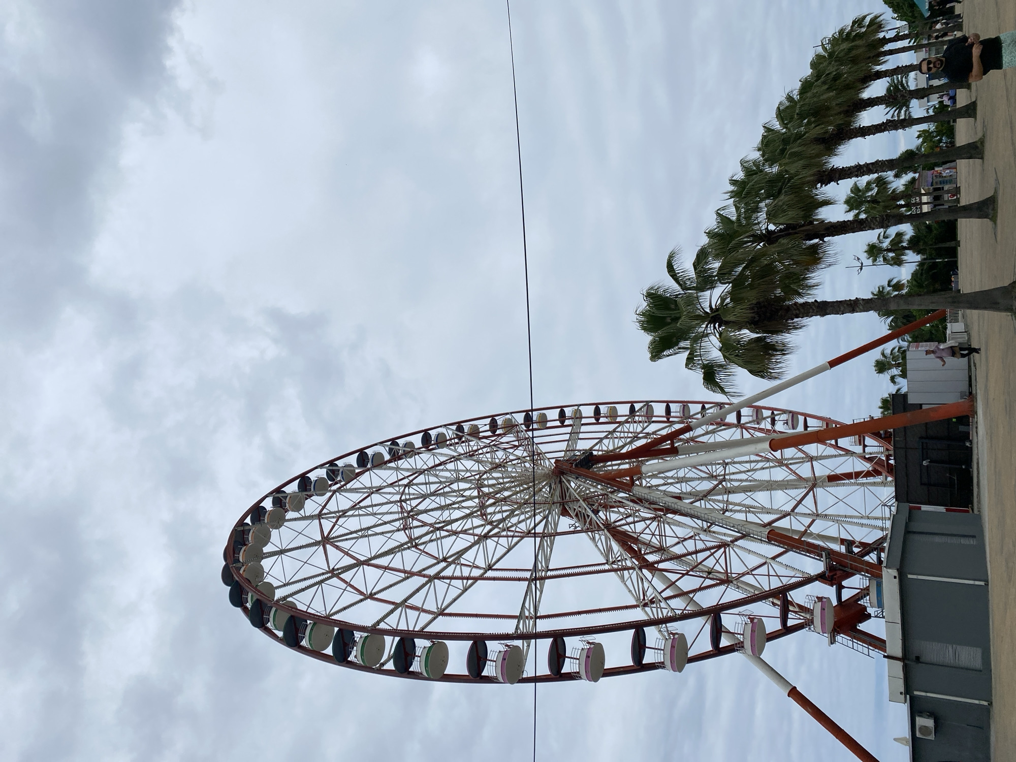 The image captures a cloudy day in Batumi, Georgia, likely along the Batumi Boulevard, as indicated by the prominent Ferris wheel and the row of palm trees. The main subject is a large, red and white Ferris wheel, with its structure and numerous gondolas clearly visible against the overcast sky. In the foreground and to the right, a line of tall palm trees stretches across the frame, with a man standing near the end of the line. The ground appears to be a sandy or paved area, typical of a promenade or park. A low building with an air conditioning unit is visible to the left of the Ferris wheel's base. The overall atmosphere is somewhat subdued due to the cloudy weather, but the presence of the amusement ride suggests a recreational area.