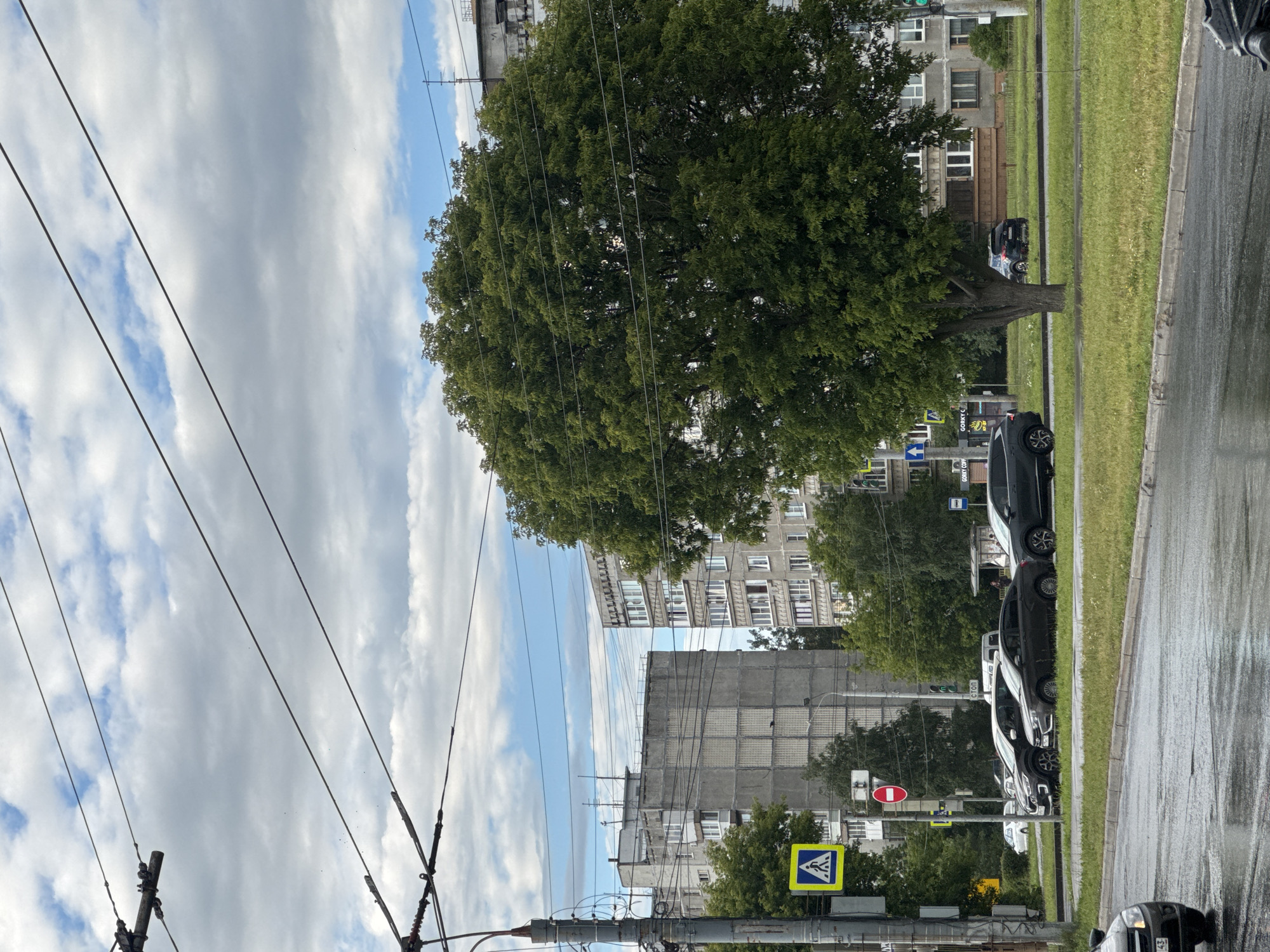 This image depicts an urban street scene in Nizhny Novgorod, Russia, on a cloudy day. In the foreground, a wet asphalt road reflects the overcast sky, indicating recent rain. A large, mature tree with dense green foliage dominates the middle ground, situated in a grassy median between lanes of traffic. Several cars are visible, including a dark sedan and SUVs parked on the side of the road and others in motion.
In the background, apartment buildings, characteristic of Soviet-era architecture, rise above the tree line. These buildings are grey and appear to be multi-story residential structures. Overhead, a complex network of electrical wires and utility poles crisscrosses the sky, typical of urban infrastructure. Traffic signals and road signs, including a pedestrian crossing sign with a yellow background and a red circular prohibition sign, are present on the left side of the image, suggesting the presence of an intersection or a controlled crossing. The overall atmosphere is subdued, influenced by the cloudy weather.