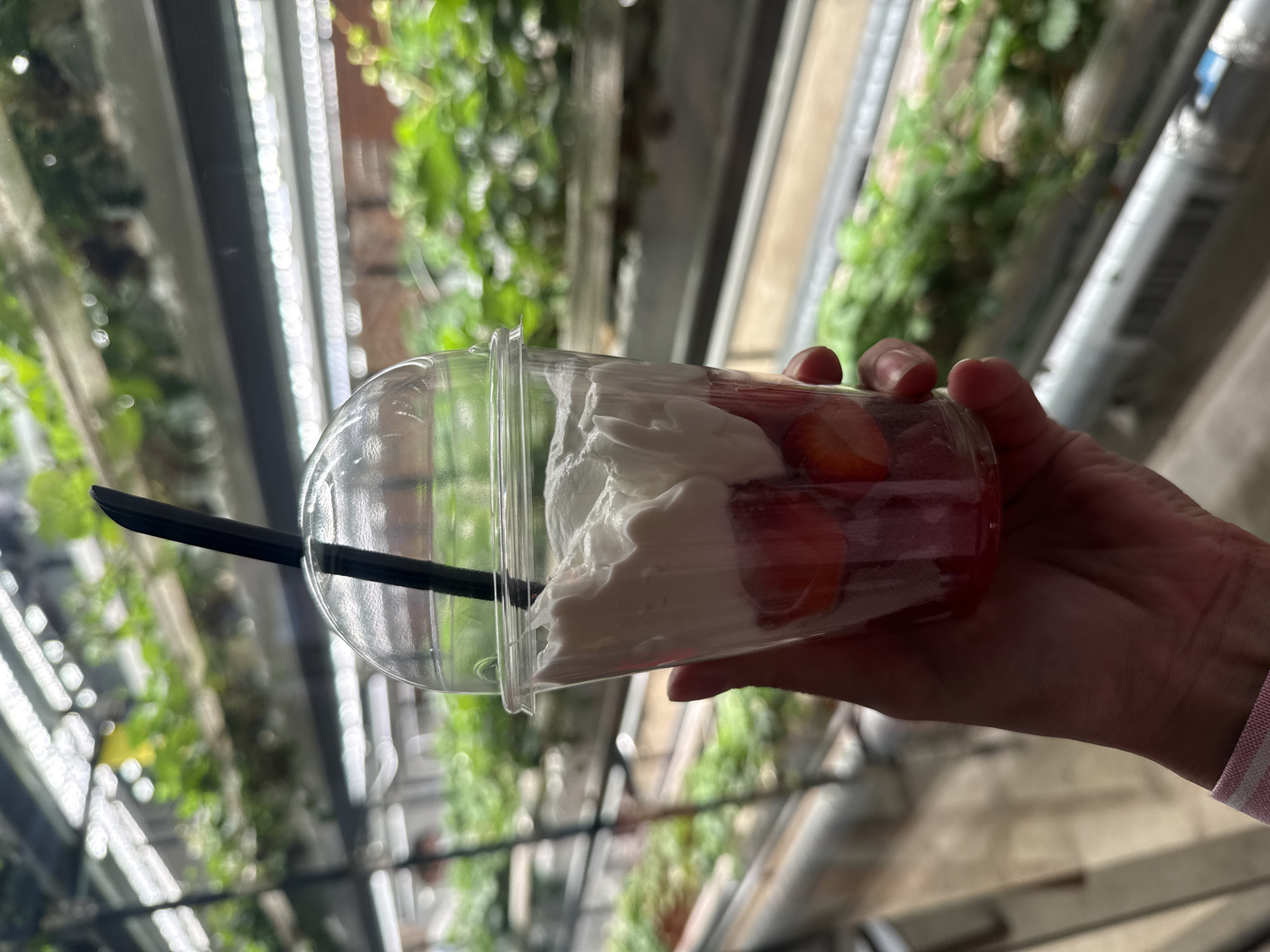 A person's hand holds a clear plastic cup filled with strawberries and whipped cream. A black straw protrudes from the top of the cup, which is sealed with a clear plastic lid. The background shows rows of hydroponically grown plants under artificial lights, suggesting an indoor farming environment. The setting is not identifiable as Saint Petersburg, Russia.