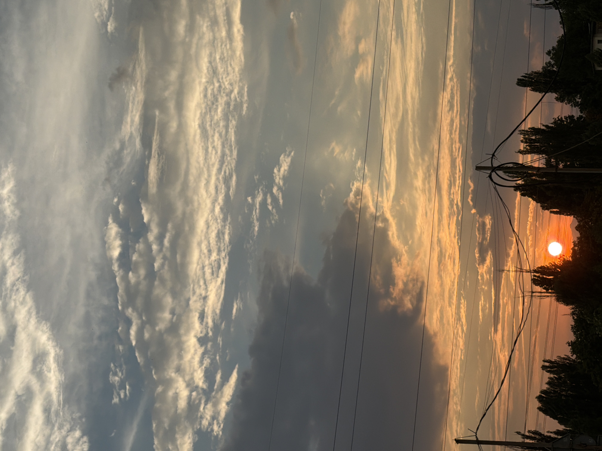 This is a vertical, eye-level photograph of a sunset over a silhouetted treeline, taken from a city. The sky dominates the frame, filled with layers of clouds. The upper portion of the sky is a pale blue with wispy, white clouds that appear to be illuminated from above. Below this, the clouds become thicker and more textured, with a mix of dark gray and golden-orange hues. The lower part of the sky is a vibrant orange and yellow, with streaks of light radiating upwards, indicating the setting sun is near the horizon.
In the foreground, several dark, silhouetted trees line the bottom of the image. Their shapes are indistinct against the bright sky, but they appear to be deciduous trees with full foliage. Several sets of power lines stretch horizontally across the mid-ground, adding a man-made element to the natural scene. One power line is particularly prominent in the lower half of the image, with a coiled section adding visual interest. A single, bright orange sun is visible low on the horizon, just above the treeline on the right side of the frame. The overall impression is a dramatic and colorful sunset over a semi-urban landscape. The presence of power lines suggests an urban or suburban environment within Kyiv, Ukraine.