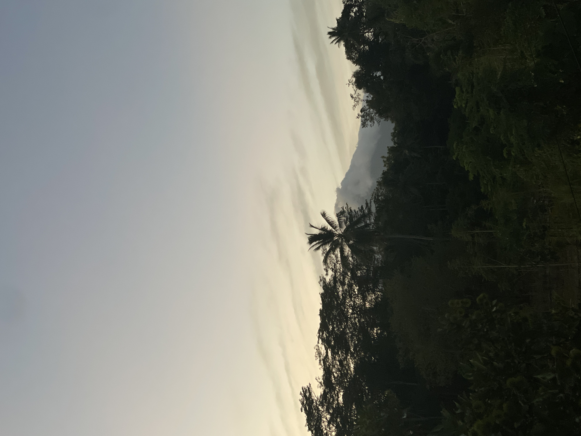 The image depicts a view of Mount Manado Tua, a stratovolcano situated off the coast of Manado, Indonesia. The volcano's peak is partially obscured by clouds, and it is silhouetted against a pale, twilight sky. In the foreground, a dense forest of tropical trees and foliage forms a dark silhouette. A lone palm tree stands out amongst the trees. The lighting suggests either sunrise or sunset, with a soft, diffused light illuminating the sky and casting long shadows. There are no people or man-made structures visible in the image, creating a natural and serene landscape.