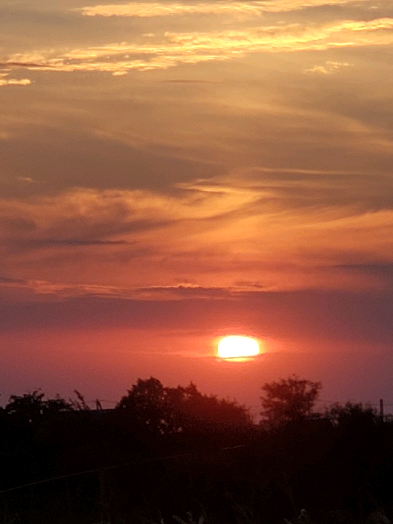 The image depicts a sunset with a large, bright orange sun partially obscured by clouds. The sky is a gradient of colors, transitioning from pale yellow and orange at the top to deep red and purple near the horizon. Silhouetted against the vibrant sky is a line of trees and vegetation, appearing dark and indistinct. A faint horizontal line, possibly a wire or fence, is visible in the foreground. The setting appears to be rural, with no visible buildings or signs of dense urban activity. The location is identified as Konstantinovka, Moldova.
