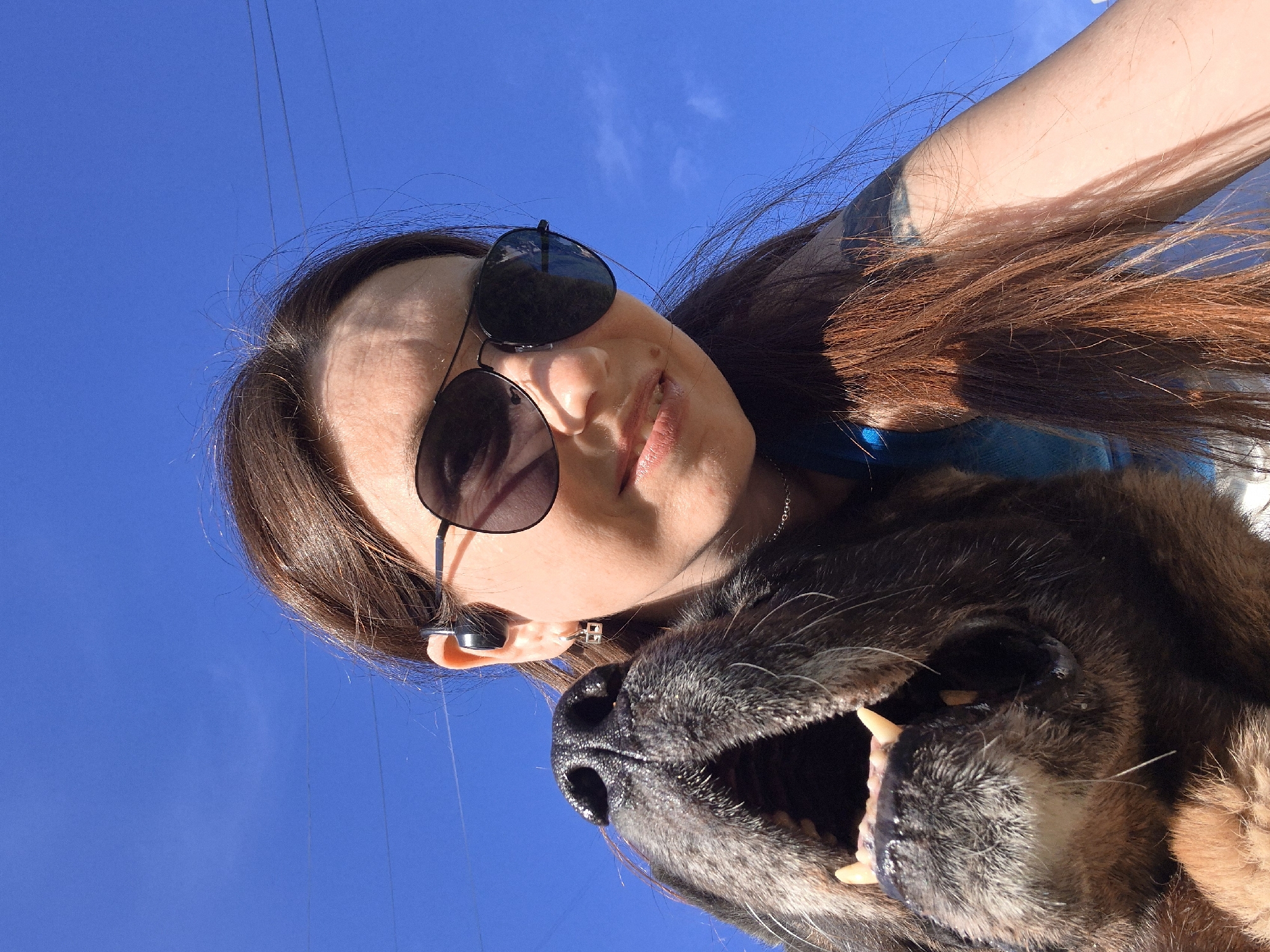 A ground-level, close-up shot of a person wearing sunglasses with brown hair and a black earbud, and a dark-haired dog with an open mouth. The person's face is partially obscured by the sunglasses. The dog's mouth is wide open, revealing its teeth. The background is a bright blue sky. Overhead wires are visible. The location appears to be outdoors in a city of Unknown, Unknown.