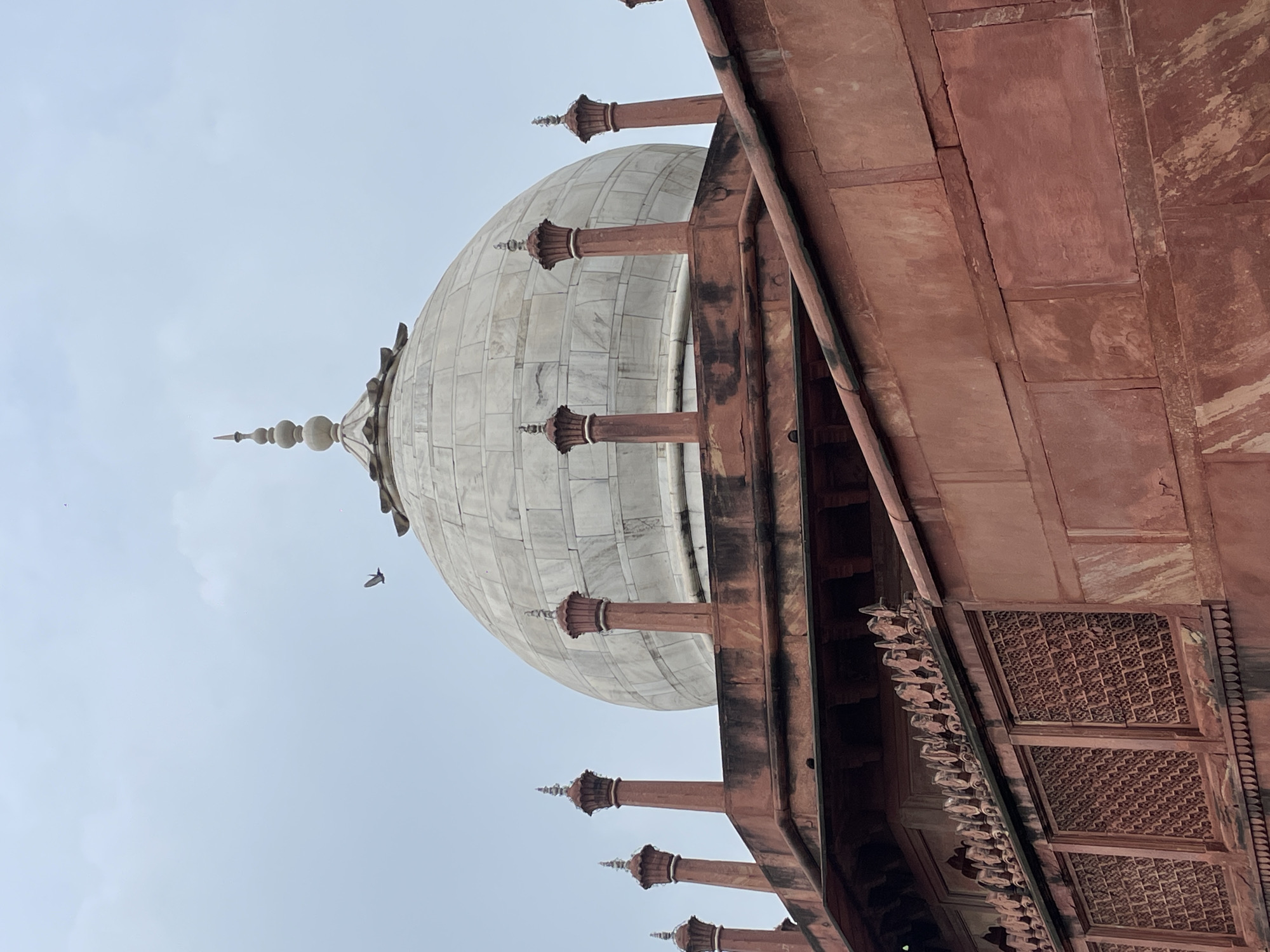 A low-angle, medium shot captures the upper portion of a large, white marble dome topped with a finial, belonging to the Taj Mahal, in Agra, India. The dome is partially obscured by the foreground which features ornate red sandstone architecture, including decorative railings and latticed windows. Several smaller red sandstone pillars topped with finials surround the base of the main dome. In the sky, a single bird is visible in flight to the left of the dome. The sky is overcast and light grey. The scene is illuminated by diffused natural light.