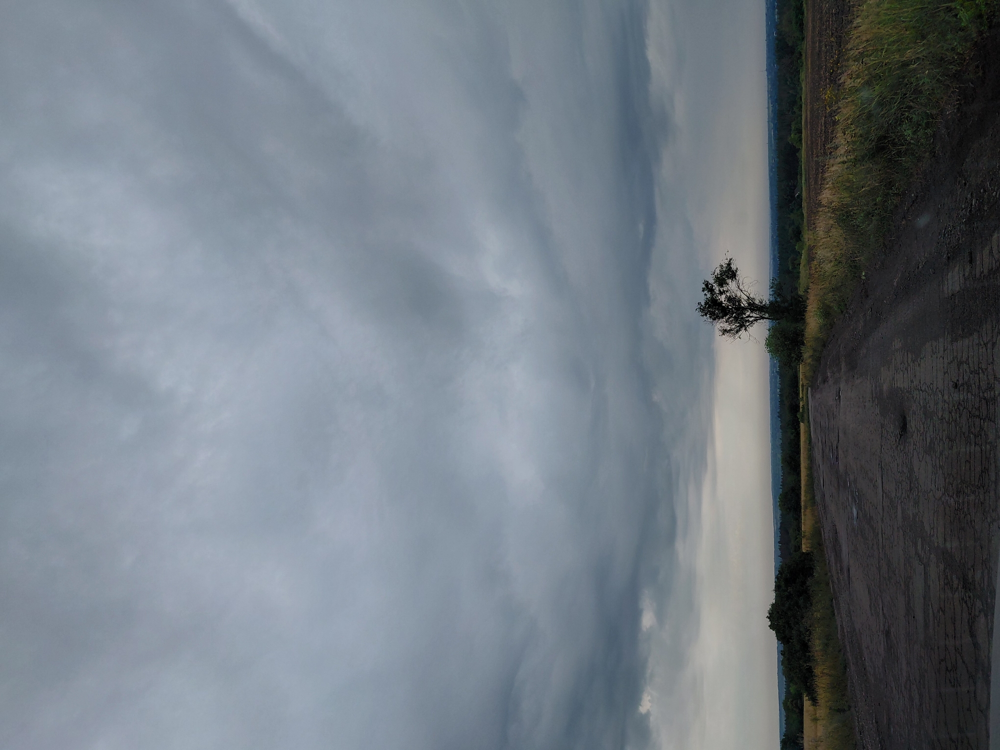 An overcast sky looms above a cracked asphalt road that curves through a rural landscape. To the left of the road, dry grass and harvested fields stretch towards a line of trees. A solitary, mature tree stands prominently on a slight rise to the right of the road, silhouetted against the distant horizon. The background features a hazy, tree-lined horizon, suggesting a vast expanse of land. The overall atmosphere is somber and desolate, with the dark clouds and weathered road conveying a sense of impending change or stillness.