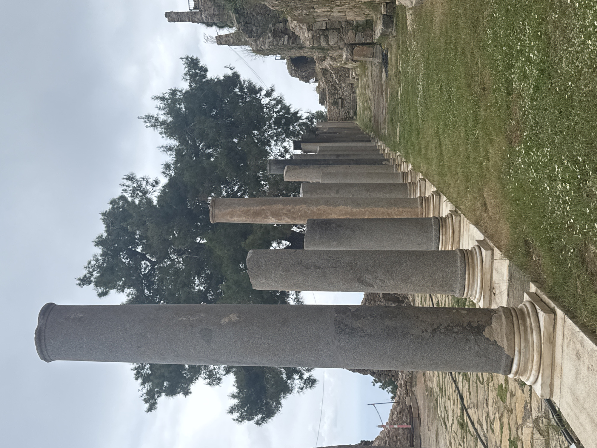 A landscape-oriented, eye-level, outdoor shot depicts a row of stone columns of varying shades, adjacent to a grassy area and an aging, stone wall. A large tree is behind the pillars.
The columns, made of gray and tan stone, show signs of wear and age. Their bases are light-colored and ribbed. They are arranged linearly, creating a sense of depth.
To the right of the columns is an area covered in dense, green grass with small white flowers. Above the grass, a weathered stone wall is visible.
The background is dominated by a large, leafy tree, partially obscuring the view. The sky is overcast, contributing to the muted color palette of the image.
The location is Unknown, Unknown. The scene suggests an ancient or historical site.