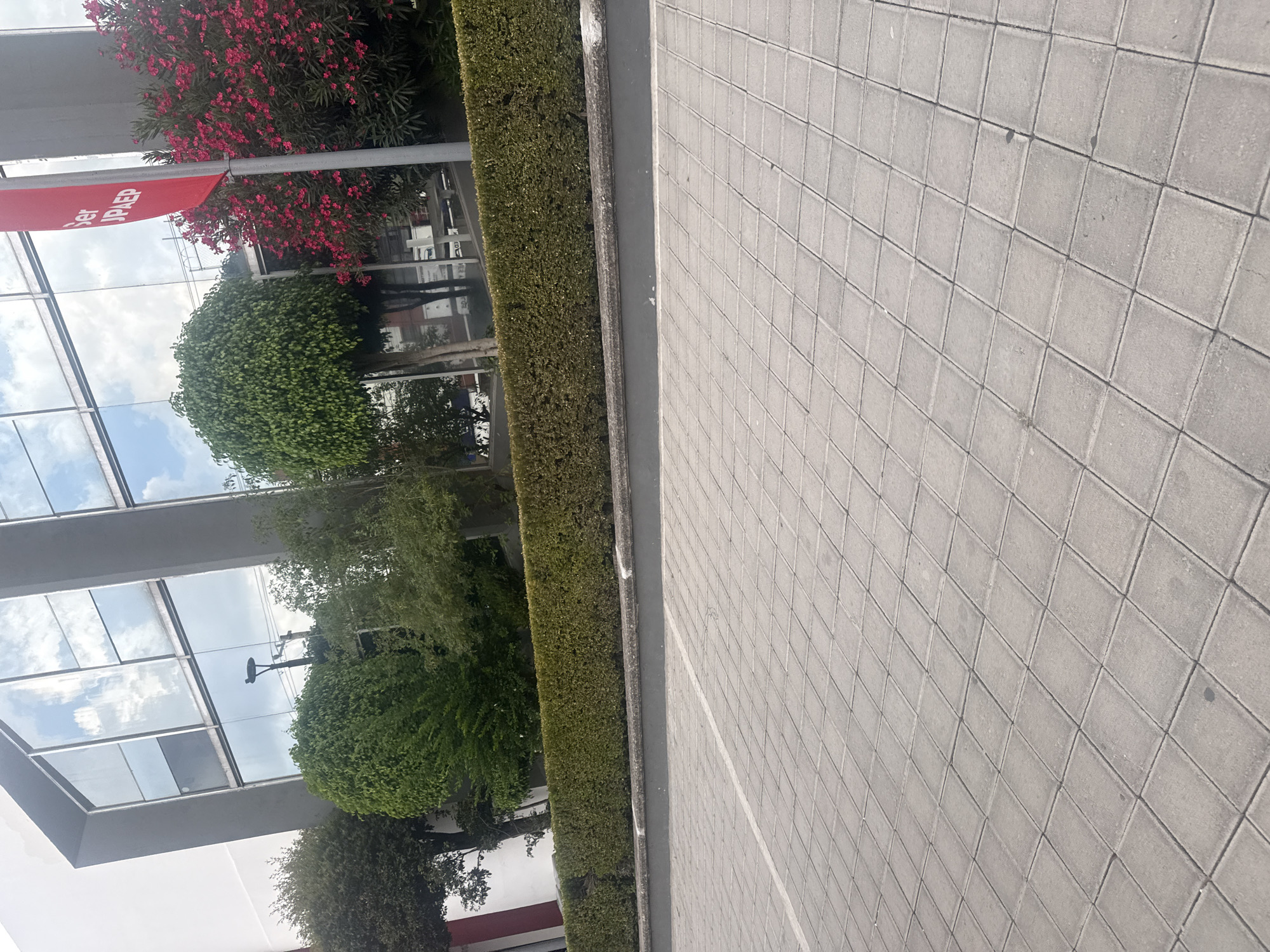 The image presents an outdoor scene in what appears to be an urban environment. On the left side, there is a building with glass windows reflecting the sky and clouds. A red sign, possibly for "UPLAEP," is visible. Lush green vegetation, including trees and bushes, lines the base of the building. A neatly trimmed hedge runs along the boundary, separating the vegetation from a paved area. The paved area consists of gray, square tiles laid out in a grid pattern. There are no people visible in the frame. The location is Puebla, Mexico.