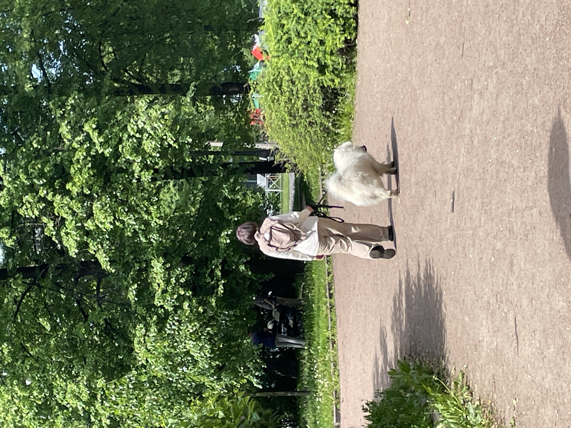 The image displays a sunny day in a park in Saint Petersburg, Russia, where a person is walking a dog on a paved pathway. The pathway appears light brown or beige, running through the scene. On the left side of the path, there's a dense abundance of vibrant green trees and bushes, indicating a lush natural environment.
The main subjects are an individual and their dog, viewed from behind. The person wears a light-colored long-sleeved shirt, beige pants, and black shoes. They are carrying a light brown or beige backpack and have short, dark hair. Walking closely beside them, on a leash held by the person, is a fluffy white dog, resembling a Samoyed.
Both the person and the dog cast long, distinct shadows on the pathway, suggesting bright sunlight and a low sun angle, typical of morning or late afternoon. In the background, partially obscured by the foliage, other distant figures and what appears to be a white structural element, possibly a fence or bench, are faintly visible. The overall scene depicts a peaceful outdoor activity in a verdant park setting. No visible text is present.