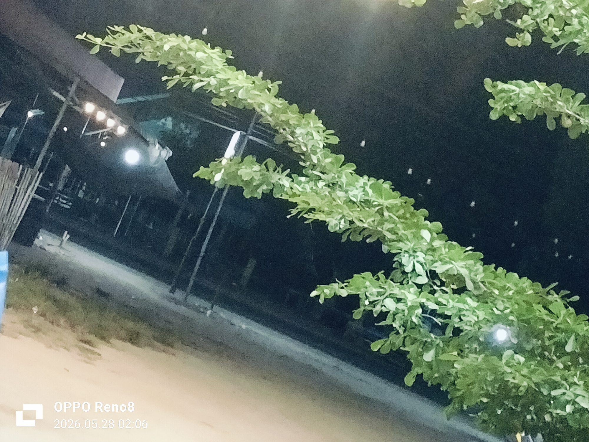 The image shows a nighttime scene in what appears to be a public area. In the foreground, there is a bush or tree with numerous small, light green leaves. The vegetation partially obscures the background, which features a building with a sloping roof, supported by pillars. Lights are visible under the roof. Behind the building and above the tree line, the background is dark, possibly indicating the night sky. The lower portion of the image shows a sandy or paved surface leading toward the structure. The timestamp indicates the image was captured by an OPPO Reno8 at 02:06 on 2026-05-28. Location is identified as Cempeudak, Indonesia. No people are visible.