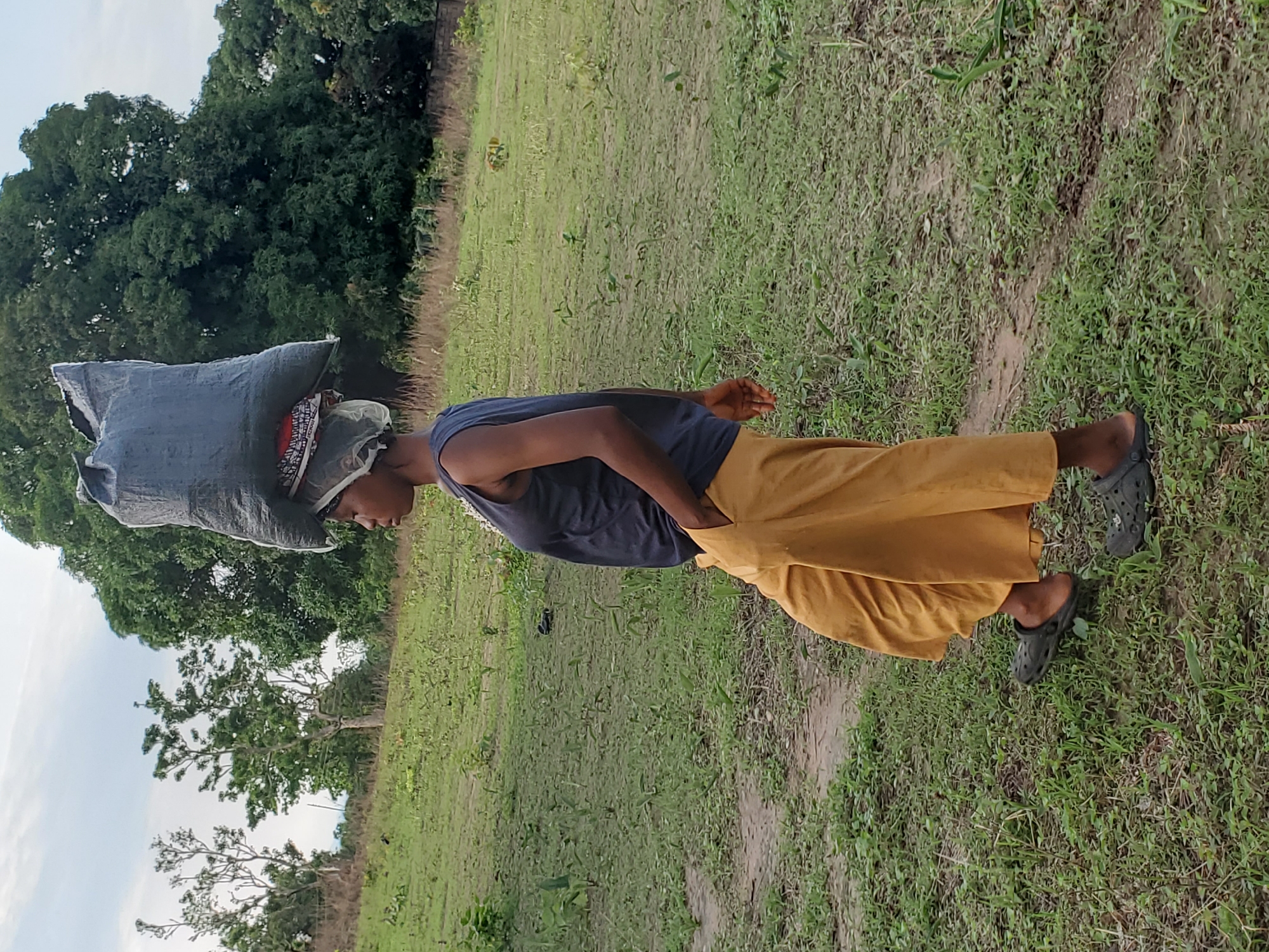 A man stands outdoors in a grassy area, possibly a field or rural area within Mararaba, Nigeria. He carries a large, dark-colored bag or bundle on his head, supported by a patterned cloth underneath. He is wearing a navy blue sleeveless shirt, mustard-colored pants, and black shoes. The man's left hand is in his pocket. The background features trees, a cloudy sky, and sparse vegetation. The ground is mostly covered with green grass with patches of bare dirt.