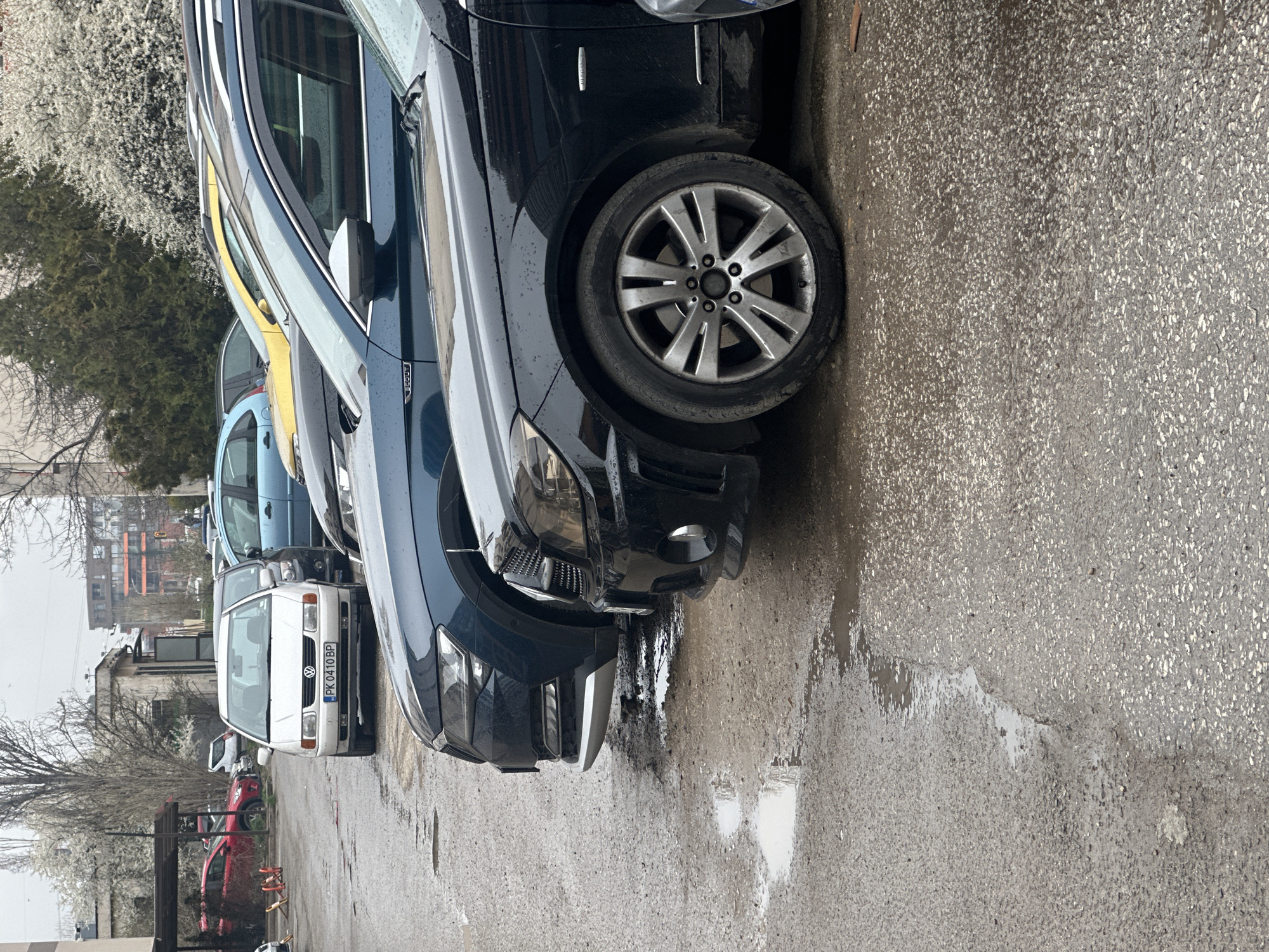 The image shows a street scene in Sofia, Bulgaria with several cars parked close together. From left to right, there is a red car, a white Volkswagen Polo (license plate PK 0410 BP), a blue car, a yellow car, another blue car, and a dark-colored car. The street is wet, likely from recent rain, with puddles visible. The focus is on the front ends of the cars, and a tree with blooming white flowers is visible in the background. A building is partially visible in the distance.