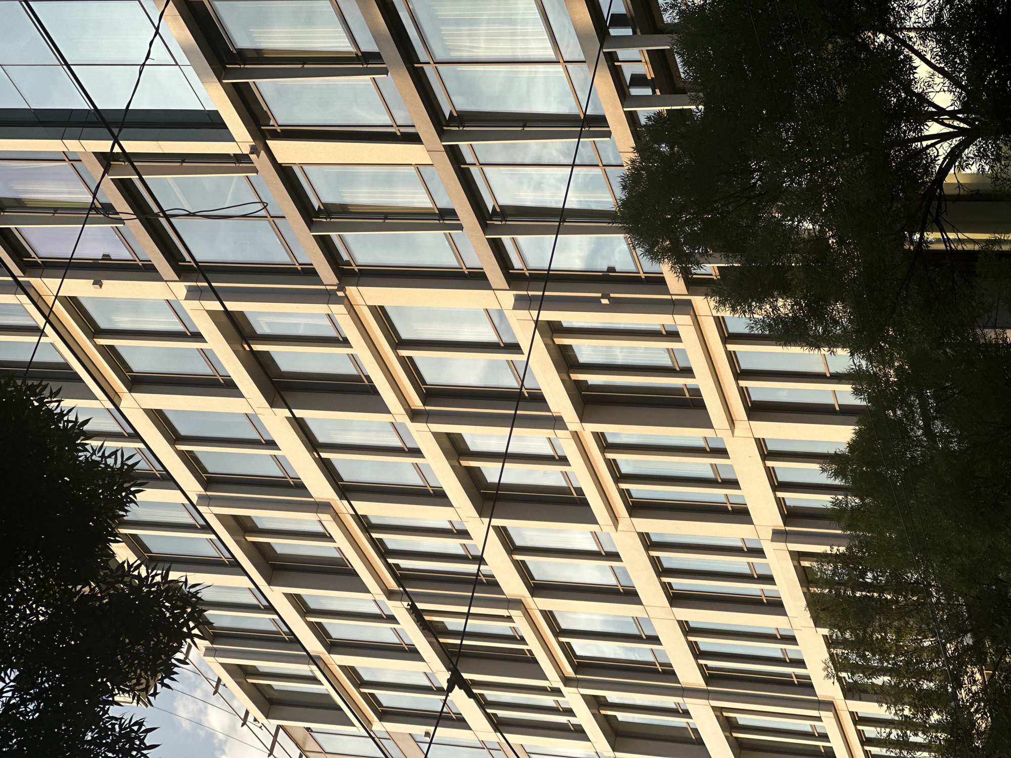 This is a low-angle, full-frame photograph looking up at a modern building's glass and metal roof structure, framed by the dark silhouettes of trees on the left and right edges. The roof is composed of a grid of rectangular glass panels supported by a light-colored, possibly metal, framework. The panels reflect the sky, which appears to be partly cloudy with a soft, warm light suggesting either early morning or late afternoon. Thin black wires are visible crisscrossing the roof structure, adding a utilitarian element to the otherwise sleek design. The overall impression is one of architectural modernity and a sense of looking up into a bright, open space. The location context is Belgrade, Serbia. No people or text are visible in the image.