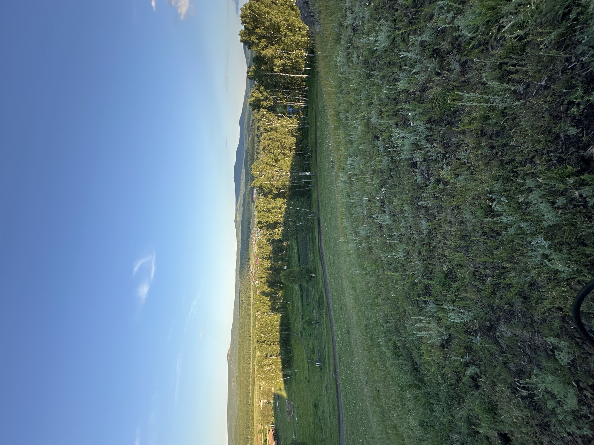 The image depicts a panoramic view of a rural landscape under a clear blue sky with a few wispy clouds. In the foreground, a grassy slope covered in low-lying vegetation and some scattered rocks leads down to a path or dirt road. Beyond the path, a dense line of birch trees with white bark and green foliage stretches across the mid-ground, their leaves illuminated by what appears to be late afternoon sunlight, casting shadows on the ground. Behind the trees, a village with numerous houses and buildings is visible, nestled within the landscape. In the distance, rolling hills covered in trees form the horizon line, with the sky extending above. The overall impression is one of a peaceful, natural setting.