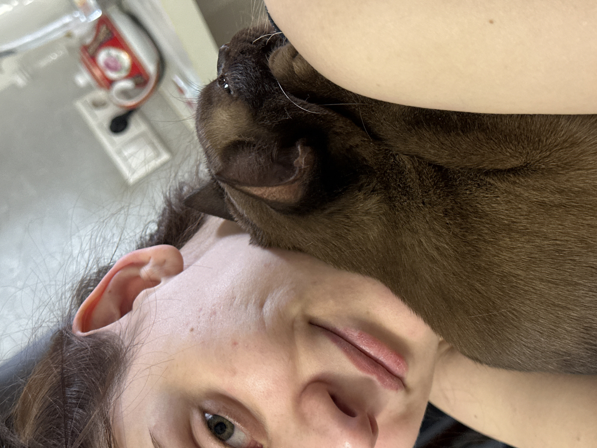 A person is holding a brown cat. The person's face is visible, with a focus on the eye and mouth. The cat is resting on the person's shoulder and neck. The background shows a blurred interior of a room, with a white wall, a small red and white appliance, and a white electrical outlet. The location is not discernible from the image.