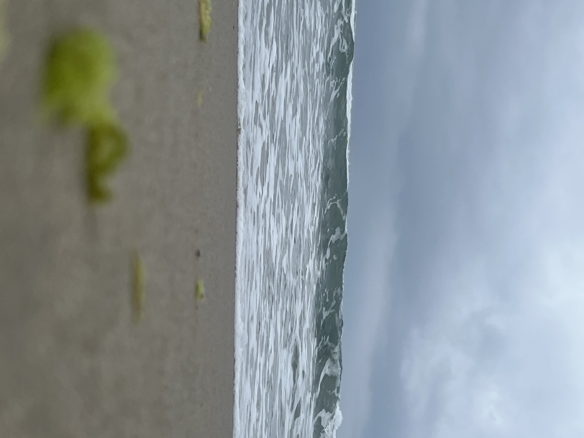 The image, rotated 90 degrees clockwise from its original orientation, depicts a serene beach scene at Martil, Morocco. The foreground reveals a sandy shore, where scattered, blurry greenish-yellow elements, possibly seaweed or algae, are visible.
In the midground, the ocean dominates, showcasing white-capped waves breaking and receding along the coastline. The water surface appears dynamic and textured with foam and ripples, reflecting a muted light.
The background consists of an overcast or cloudy sky, rendered in soft shades of light blue and grey. The diffused lighting suggests a cloudy day rather than direct sunlight. There are no people, animals, or man-made structures visible, emphasizing the natural landscape. No specific activity is taking place beyond the natural movement of the waves. No visible text is present in the image.