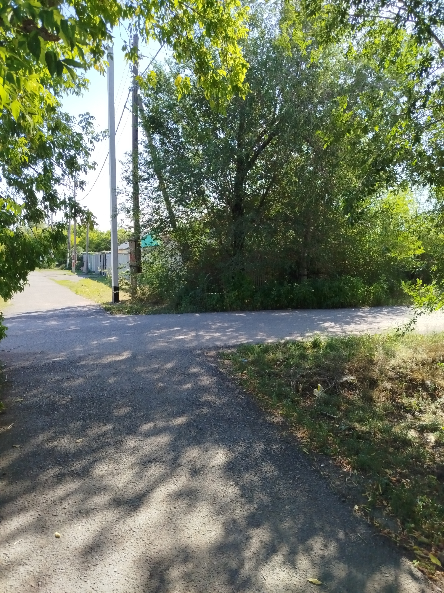 The image captures a sunny day scene at a T-junction of asphalt roads, likely in a semi-rural or suburban area of Qarağandı city administration, Kazakhstan. Overhead, a canopy of lush green trees casts dappled shadows on the road surfaces. On the left side of the road, there is a row of tall, thin metal poles, possibly utility poles, with some wires visible. Further down this road, a light-colored metal fence runs along the side of a property, with glimpses of buildings beyond. On the right side of the intersection, dense green foliage and trees form a thick wall of vegetation, obscuring what lies behind. The foreground shows the textured surface of the asphalt road, illuminated by sunlight and shaded by the trees. The overall impression is one of a quiet, natural setting within a populated area. There are no people visible in the image.