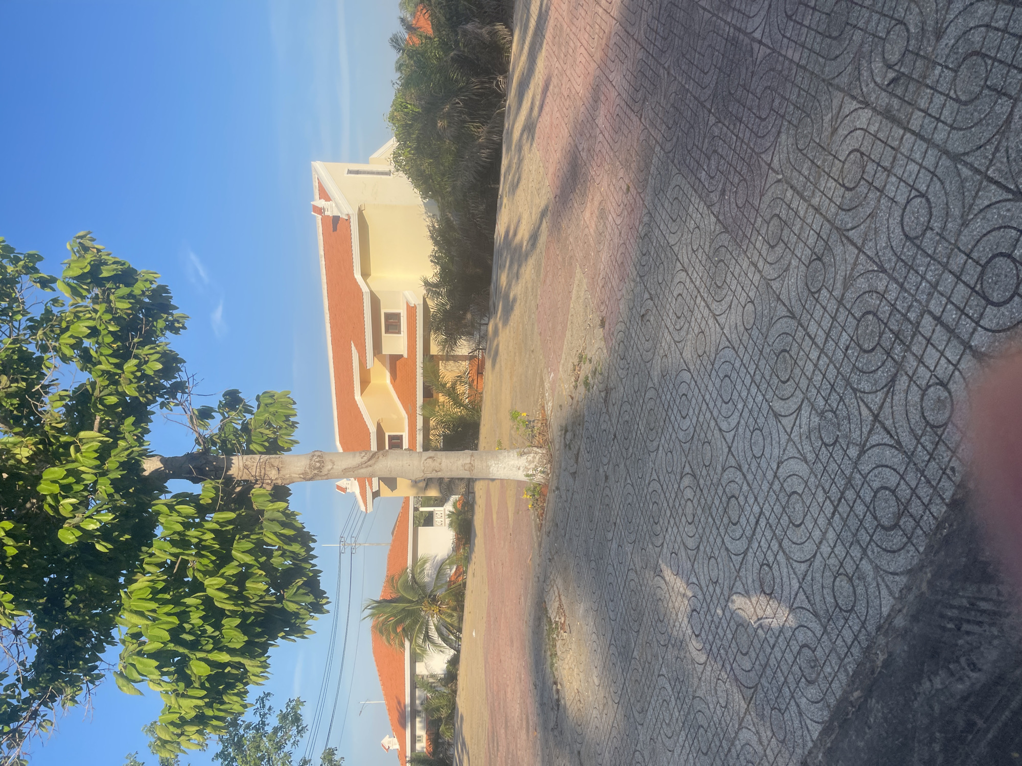 The image captures a sunlit scene in Phu Thuy Ward, Vietnam, featuring a paved courtyard with a distinctive geometric pattern. A prominent tree with lush green leaves stands to the left, partially obscuring two low-lying residential buildings with orange tiled roofs. The buildings are light yellow and white, with palm trees and other vegetation surrounding them. The sky is a clear blue with a faint wispy cloud. The pavement is illuminated by the sun, casting long shadows across its surface. Electrical wires are visible in the background, running between poles. The overall impression is one of a serene, residential environment in a warm climate.