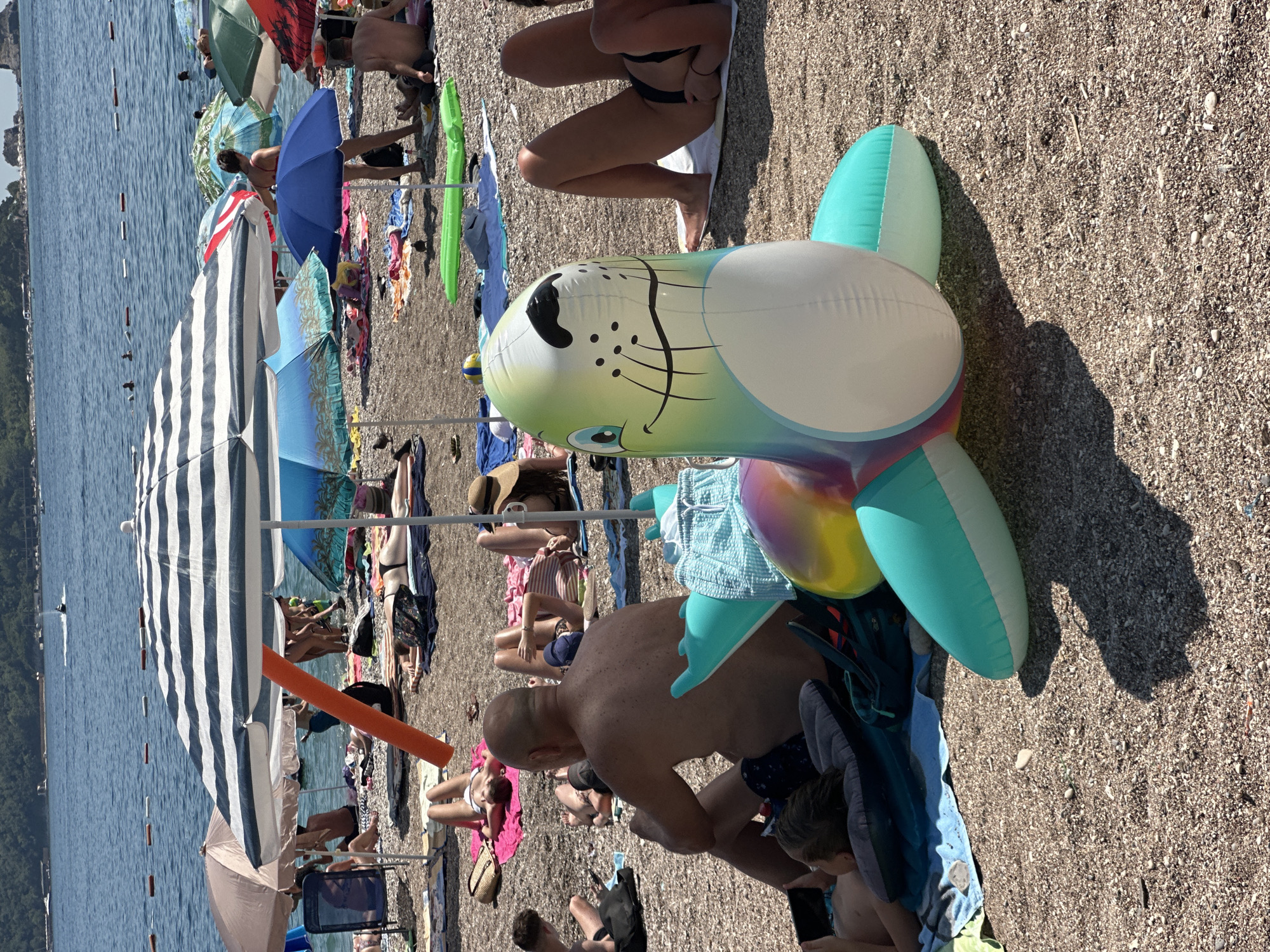 The image depicts a crowded pebble beach in Budva, Montenegro, under a sunny sky. In the foreground, an inflatable seal toy with a cartoonish face is prominently positioned. The beach is populated with numerous people sunbathing on towels and under umbrellas. A large, striped umbrella shades a section of the beach, and other beach umbrellas of various colors dot the scene. The sea, calm and blue, is visible in the background with a few boats on the water. Some individuals are partially submerged in the water. The overall atmosphere suggests a typical summer day at a popular tourist destination.