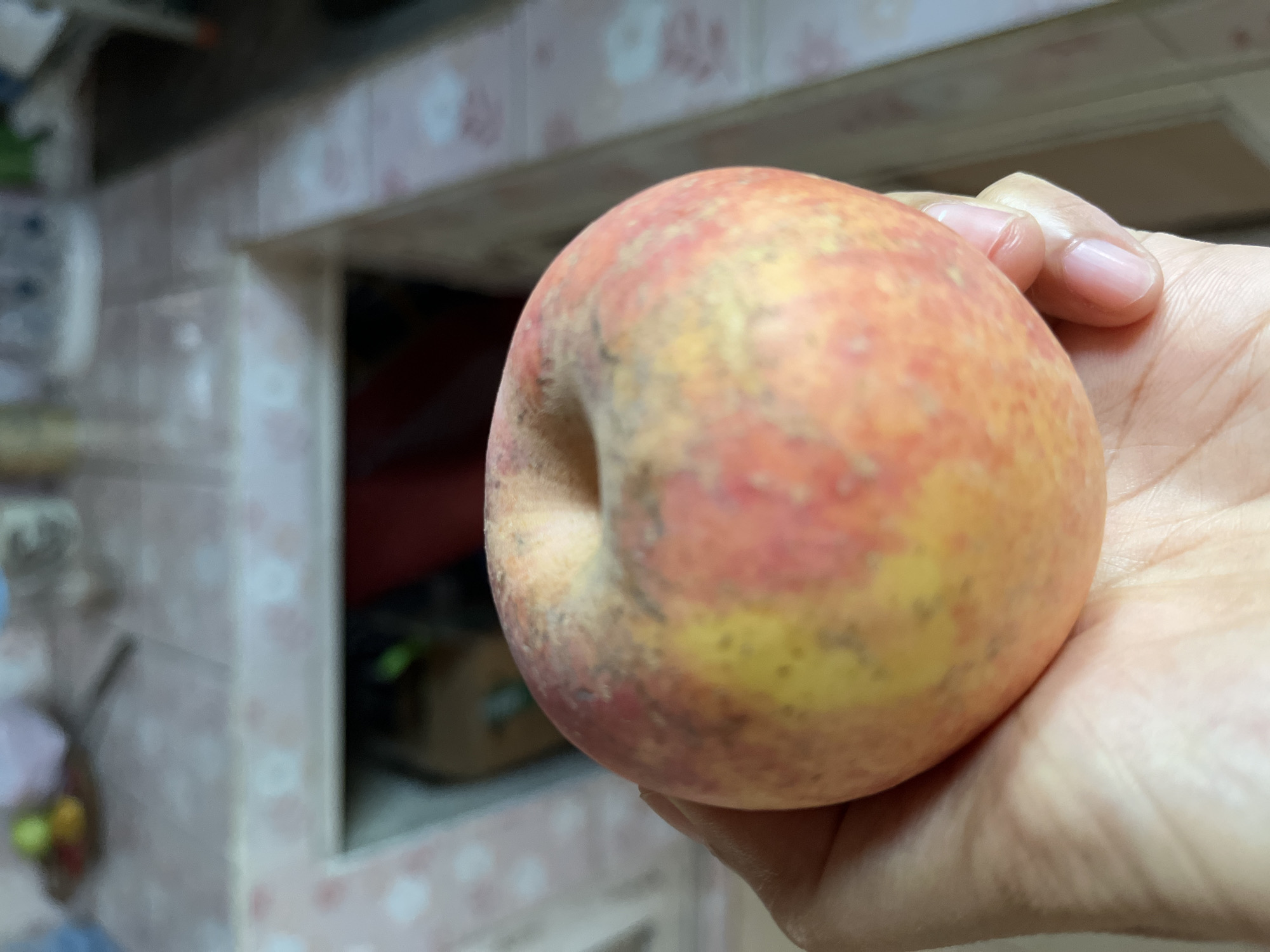 A close-up, over-the-shoulder shot shows a hand holding a ripe apple. The apple is round with a smooth skin, displaying a gradient of colors from yellow to pink and red, with some brown speckles. The hand is positioned to support the bottom of the apple. The background is blurred, revealing a tiled surface with a light pink and white floral pattern. In the mid-background, a dark opening is visible, possibly a doorway or a shelf. The overall scene suggests an indoor setting, likely a kitchen or dining area. The image is taken at an angle, looking down at the apple and hand.