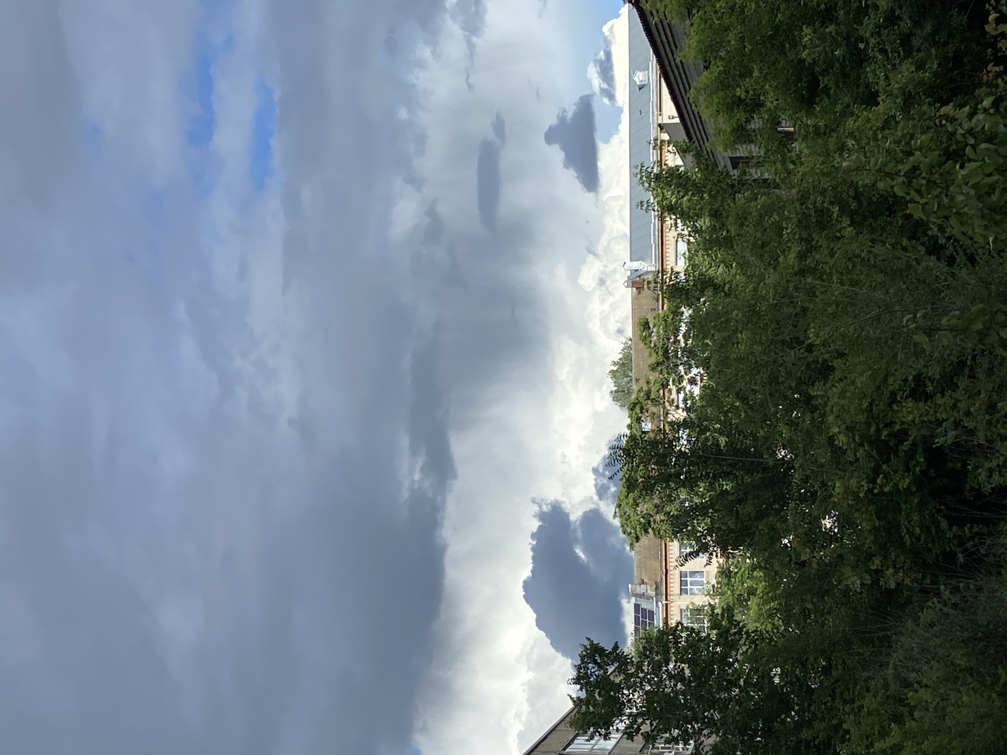 The image shows a view of a building partly obscured by trees, set against a backdrop of a dramatic sky. The building is light-colored and appears to be multiple stories tall with windows visible. The trees are lush and green, with dense foliage. The sky is filled with dark, ominous clouds, suggesting an approaching storm. There are patches of blue sky visible between the clouds. The location is Unknown, Unknown.