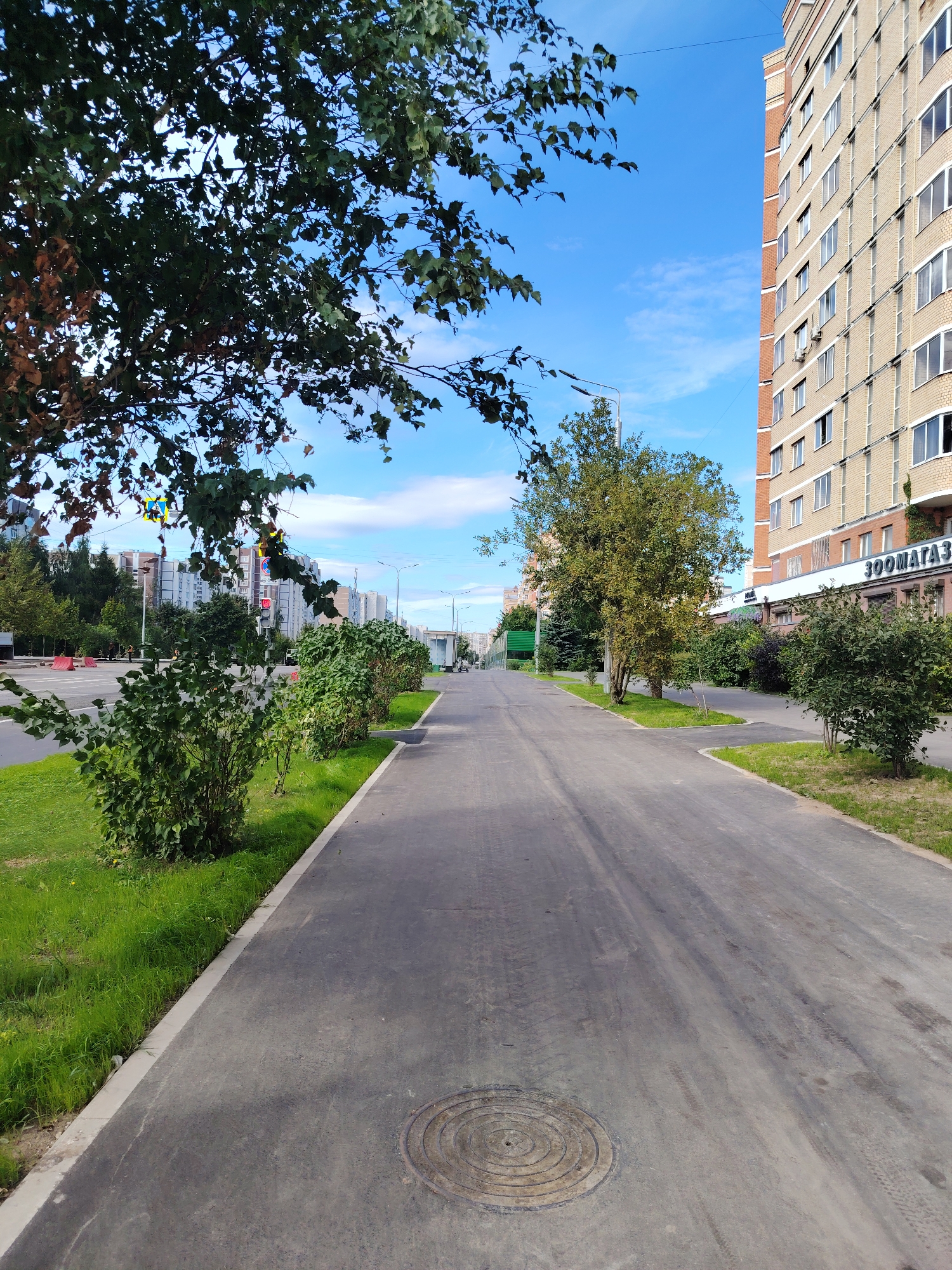 This is a ground-level, full-shot photograph taken on a clear day, likely during daylight hours, at an outdoor location in Zelenograd, Russia. The perspective is looking down a paved pathway that runs parallel to a multi-lane road. On the left side of the pathway, there is a strip of well-maintained green grass with several bushes planted along its edge. A large tree with green and some brown leaves extends into the upper left corner of the frame.
To the right of the pathway, a tall, multi-story apartment building with light-colored brick and numerous windows dominates the scene. The building has red-brick accents and what appears to be a storefront at ground level with signage that reads "ЗООМАГАЗ" (ZooMagaz), indicating a pet store. Further to the right, more trees and bushes are visible.
The paved pathway itself shows tire marks and some wear. A circular manhole cover is situated on the pathway in the foreground. Across the road, a line of apartment buildings stretches into the distance, and traffic lights are visible. The sky is bright blue with scattered white clouds. No people are clearly visible in the image, nor are there any obvious signs of immediate activity. The scene depicts a typical urban environment with residential buildings, roadways, and pedestrian areas.