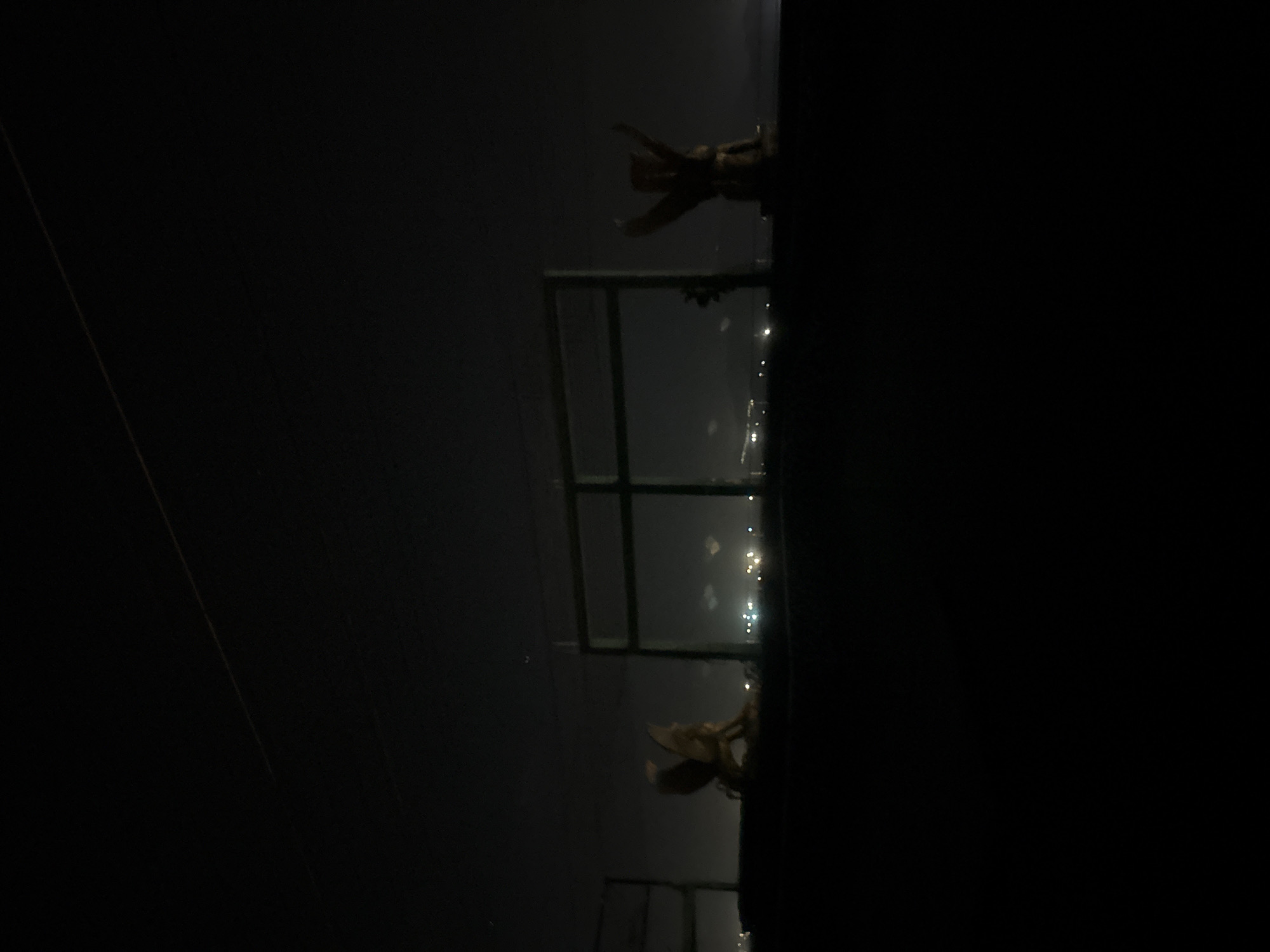 The image depicts a dark night scene in Nha Trang, Vietnam, with a distant city skyline illuminated by lights. In the foreground, on a dark, elevated surface, are two golden statue-like figures. The figure on the left appears to be a winged creature in a crouching position, while the figure on the right is standing with arms raised. Behind the figures, a dark, rectangular structure, possibly a fence or railing, is visible against the hazy, illuminated sky. The overall atmosphere is somber and mysterious due to the low light conditions and the unusual statuary.