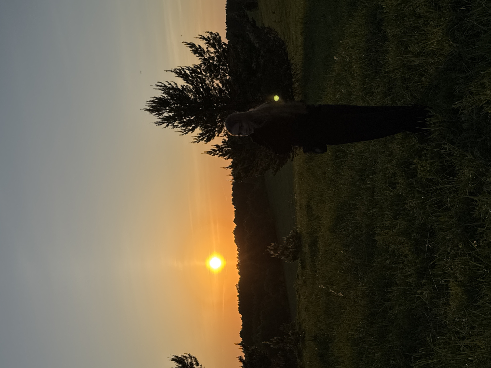 The image depicts a landscape scene, presumably at sunset, with a prominent orange sun positioned low in the sky. A silhouette of a tree and a person are visible against the bright background. The scene is set in a grassy field with some foliage. The location of the scene is Zhigalki, Russia.