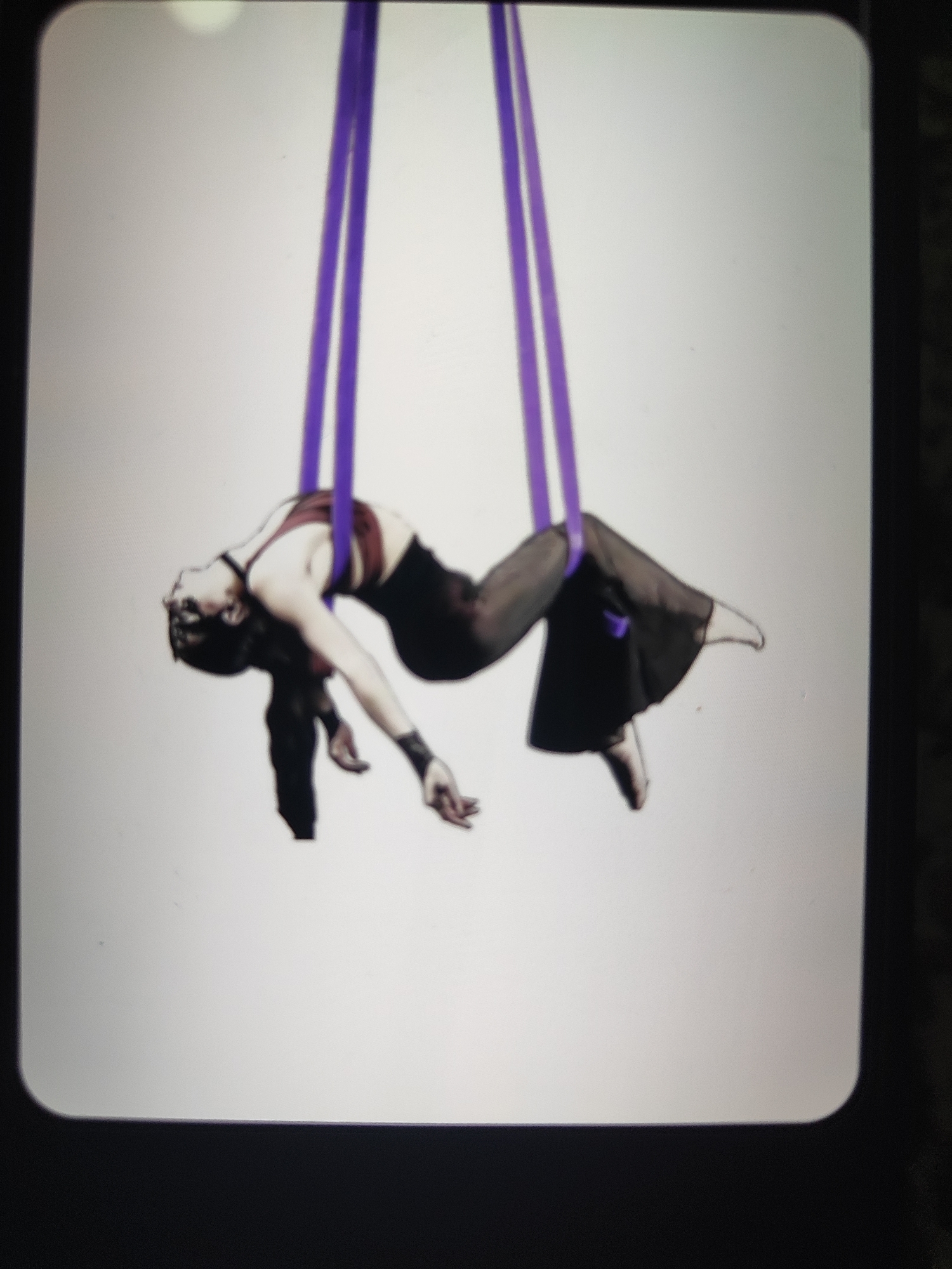 A lone individual, with pale skin and dark hair, is suspended mid-air by two thick purple aerial silks. The person is positioned in a graceful, arched pose, with their head tilted back and their arms extended outwards. They are wearing a dark, form-fitting top and flowing, dark pants that drape around their legs and feet. Their facial expression is serene, eyes closed, adding to the ethereal quality of the scene. The background is a plain, light gray, with no other discernible elements or context provided. The lighting is soft and even, highlighting the contours of the person's body and the texture of the silks. The image is framed by rounded corners and a darker border, suggesting it might be a photograph viewed on a screen.