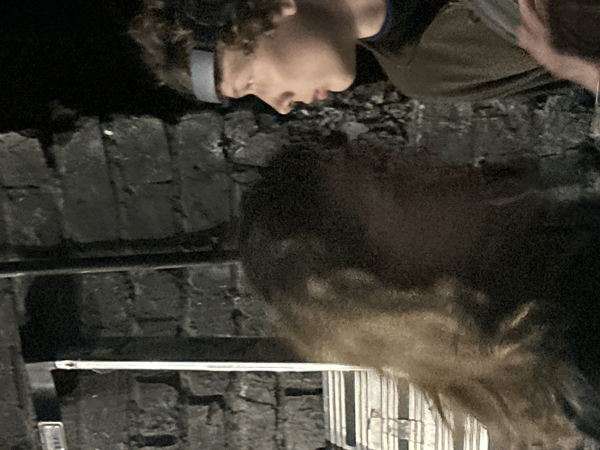 A person wearing a headlamp stands beside a brick wall next to a dog. A metal pipe also runs along the wall. The location appears to be outdoors at night.