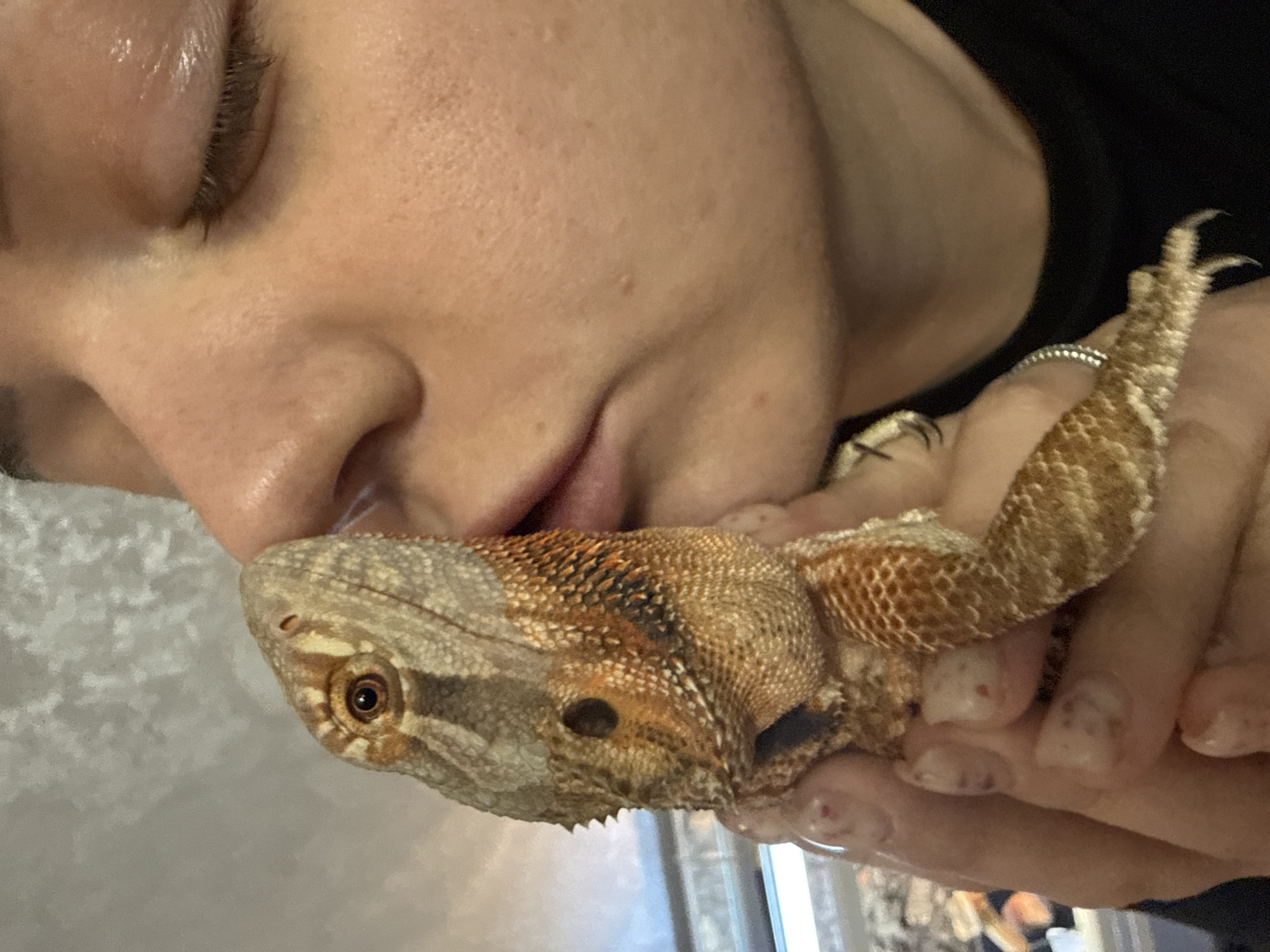 A close-up indoor photograph shows a person holding a bearded dragon. The person's face, including a closed eye, nose, and mouth, is close to the lizard's head. The lizard, with a mottled brown and gray pattern, is held in the person's hands. The person wears a ring. The background is indistinct. The image's location in the city of Yakhroma, Russia is unknown.