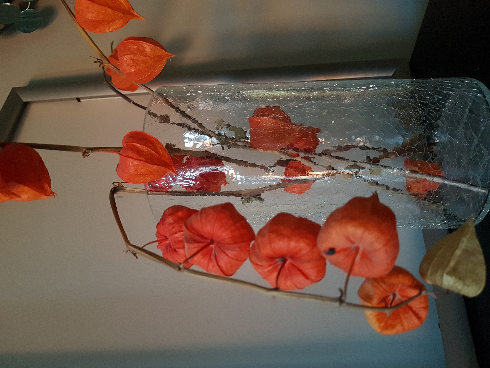 The image depicts a decorative arrangement featuring branches of Chinese lanterns (Physalis alkekengi) placed in a cracked glass vase. The lanterns are predominantly orange, with one appearing yellow-greenish. The vase is cylindrical and lying horizontally. The background consists of a light-colored wall with a framed mirror or picture on it. The scene is indoors. The photo doesn't contain location information. Therefore, the city of Saint Petersburg, Russia, can't be confirmed based on the image alone.