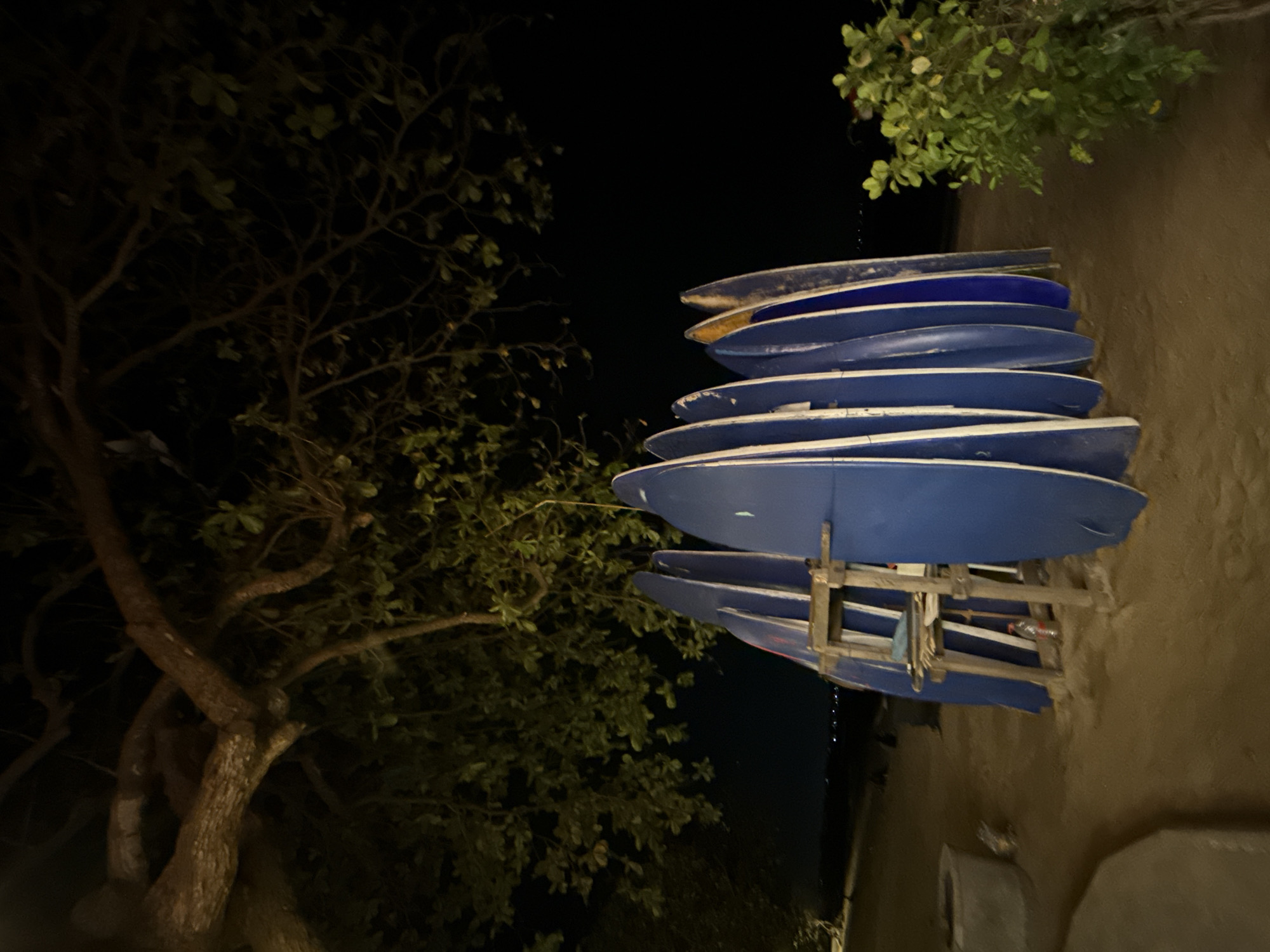 A low-angle night shot shows a collection of blue surfboards standing upright in a sand lot, possibly a beach, under the dark canopy of a large tree. The surfboards are arranged in a cluster, leaning against each other or a wooden rack, with some visible fins. The ground is covered in sand, and in the background, there is a faint glow of lights suggesting a distant urban or coastal area. A green bush is visible on the right side of the image. The overall scene depicts a calm night atmosphere at a surf spot.