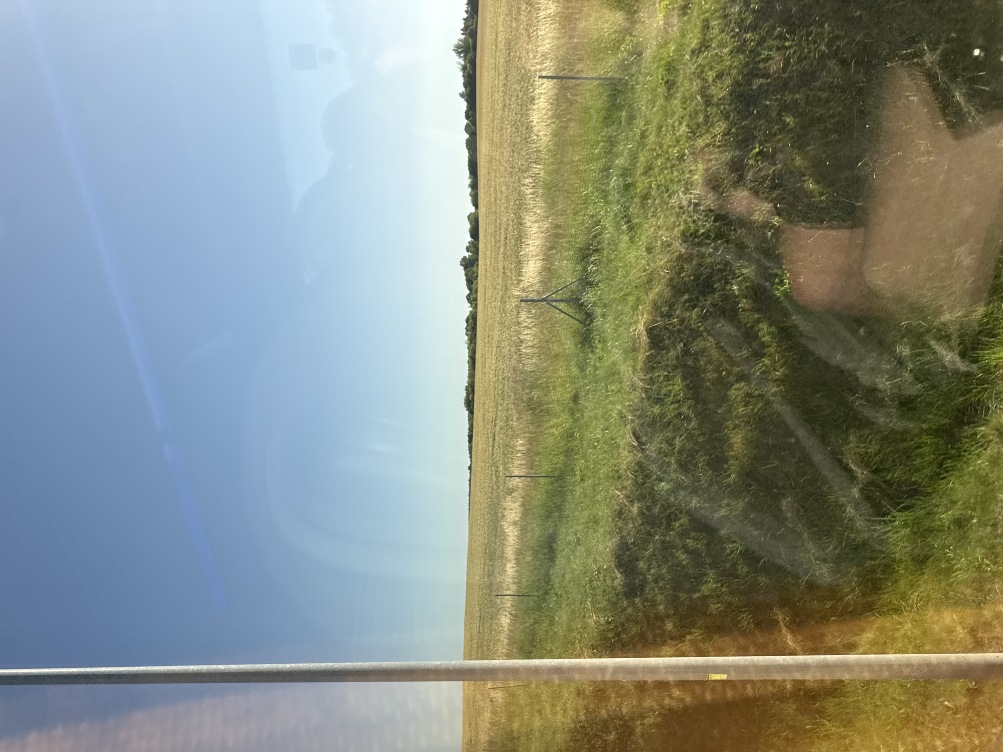 This is a vertical, eye-level shot of a rural landscape in Świebodzin, Poland, likely taken from inside a vehicle due to reflections on a glass surface. The scene is divided into two distinct halves. The left side is dominated by a vast, clear blue sky with subtle lens flare. The right side presents a field of golden-brown crops, possibly wheat or barley, stretching towards a dark line of trees in the distance. A strip of vibrant green grass runs along the right edge of the field, with two fence posts visible in the middle ground. The lighting suggests it's daytime, with the sun casting a warm glow on the landscape, particularly on the right side of the image. The overall mood is serene and captures the essence of a bright, sunny day in the Polish countryside. There is no discernible text in the image.
