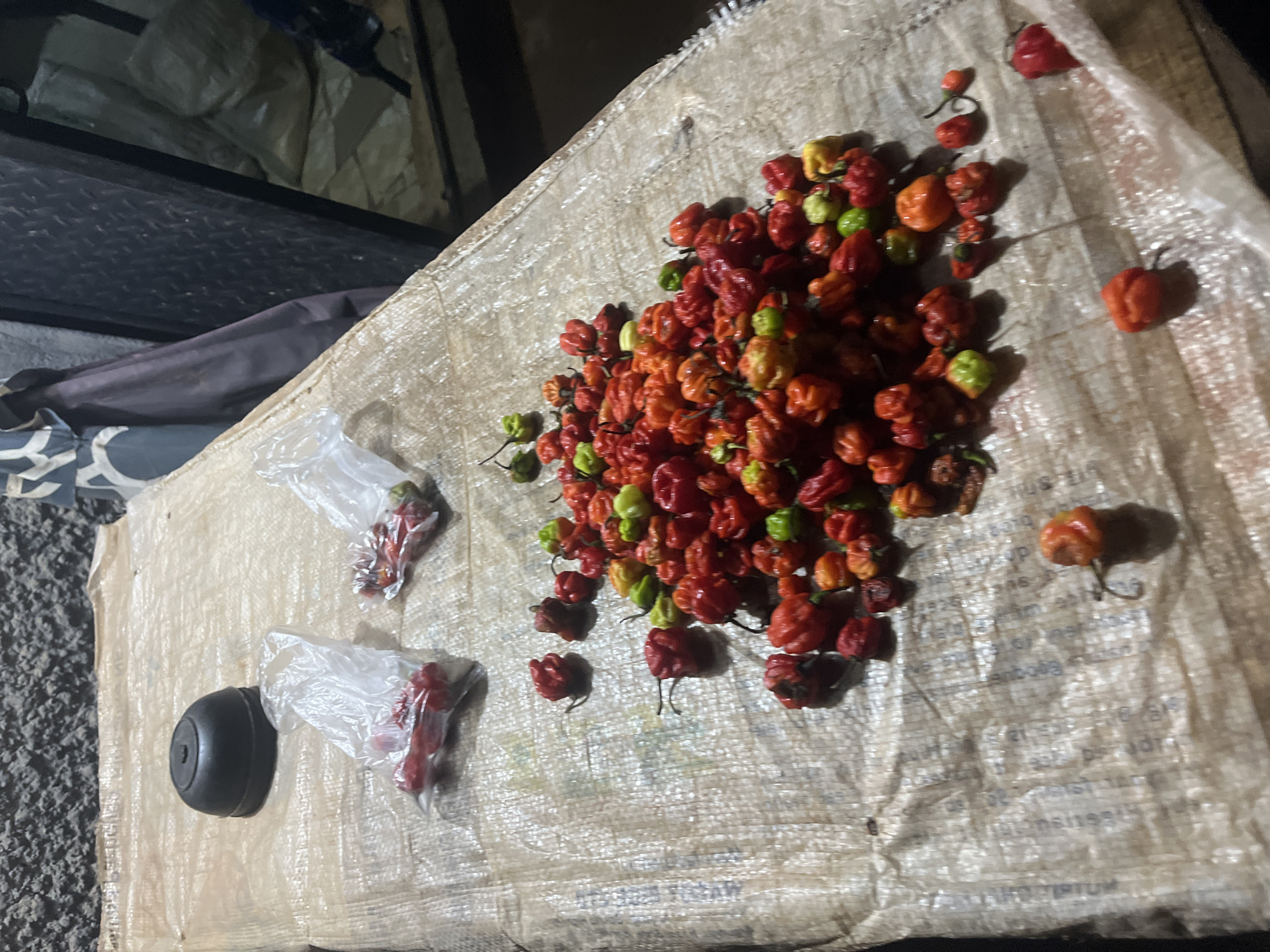 The image displays a large quantity of red, orange, and some green peppers, primarily mounded on a light-colored, textured woven plastic sheet. The peppers exhibit varied shapes consistent with common hot pepper varieties. Two small, clear plastic bags containing similar red peppers are situated to the upper left of the main pile. A black, dome-shaped object, possibly a plastic lid or bowl, rests on the woven surface in the upper-left quadrant. The background on the left consists of a dark, roughly textured wall. To the right, a dark metal surface with a diamond plate pattern is visible, adjacent to a darker recess containing light-colored, indistinct objects, possibly sacks. No individuals are present in the frame. The setting appears to be an indoor or semi-enclosed commercial space, such as a market or storage area, illuminated by an unspecified light source. The specific location within the city of Abuja, Nigeria, cannot be determined from the visual information provided.